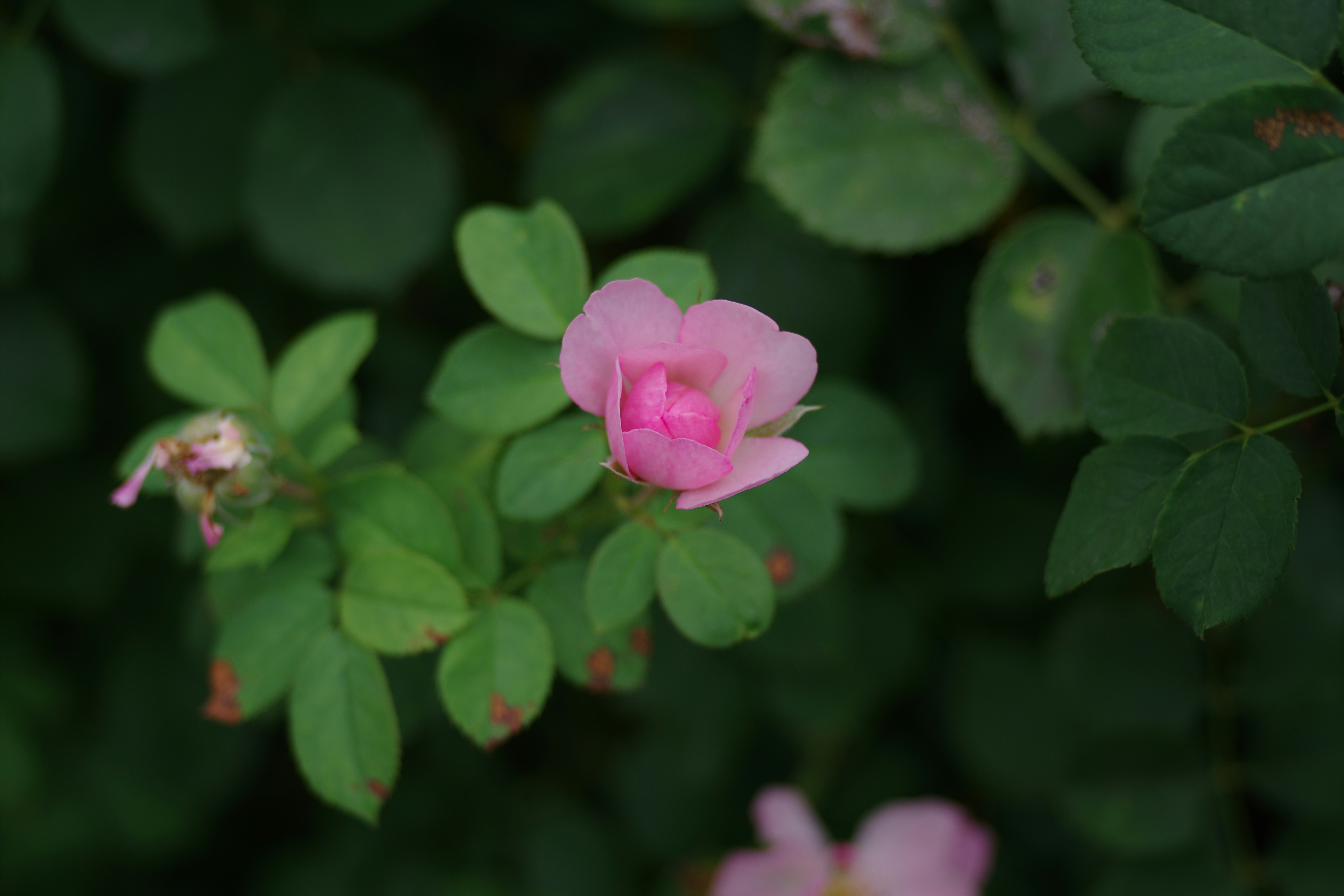 震驚！99%的人都錯了！這樣做，家裡瞬間變豪宅！