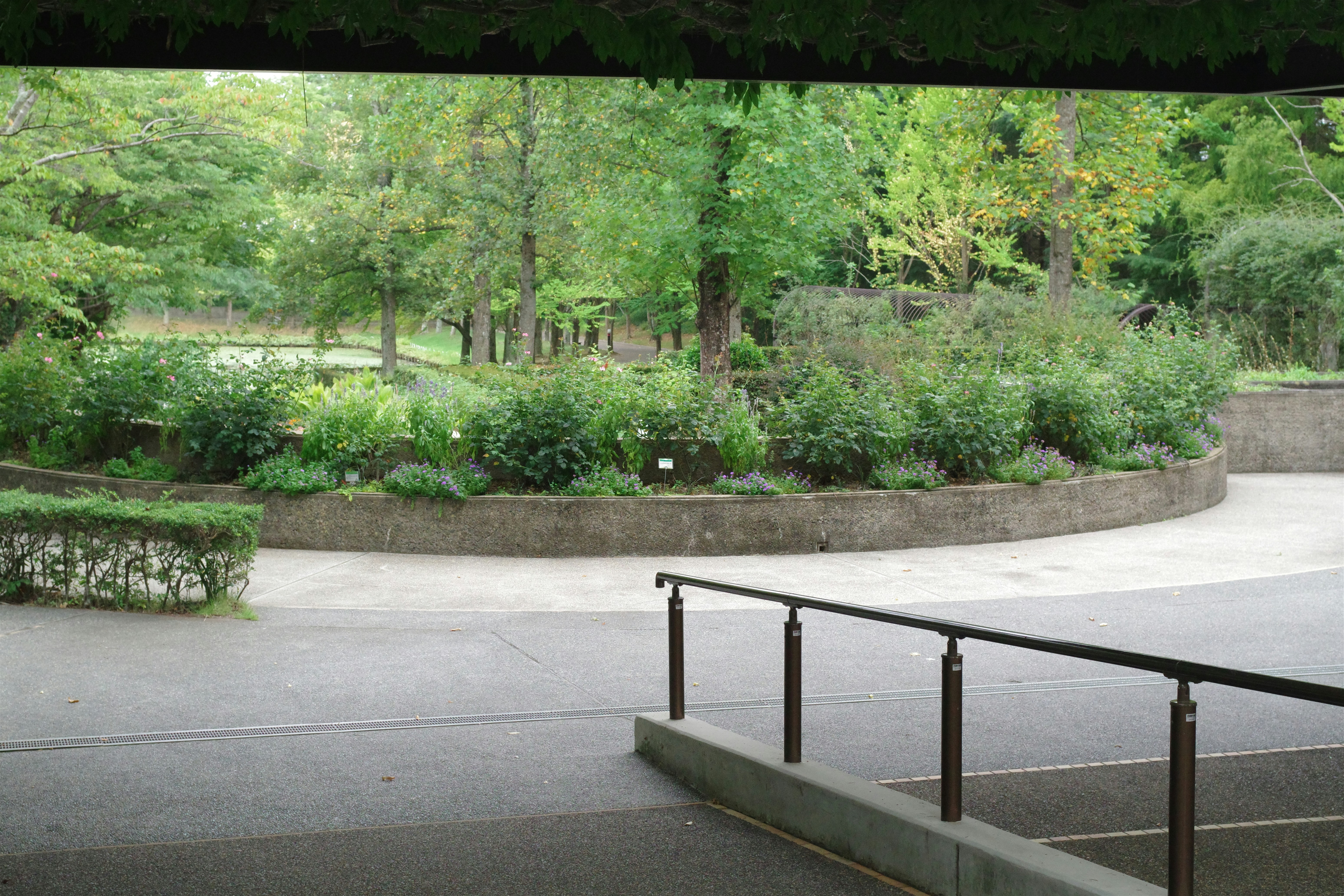 A man riding a skateboard down a metal hand rail