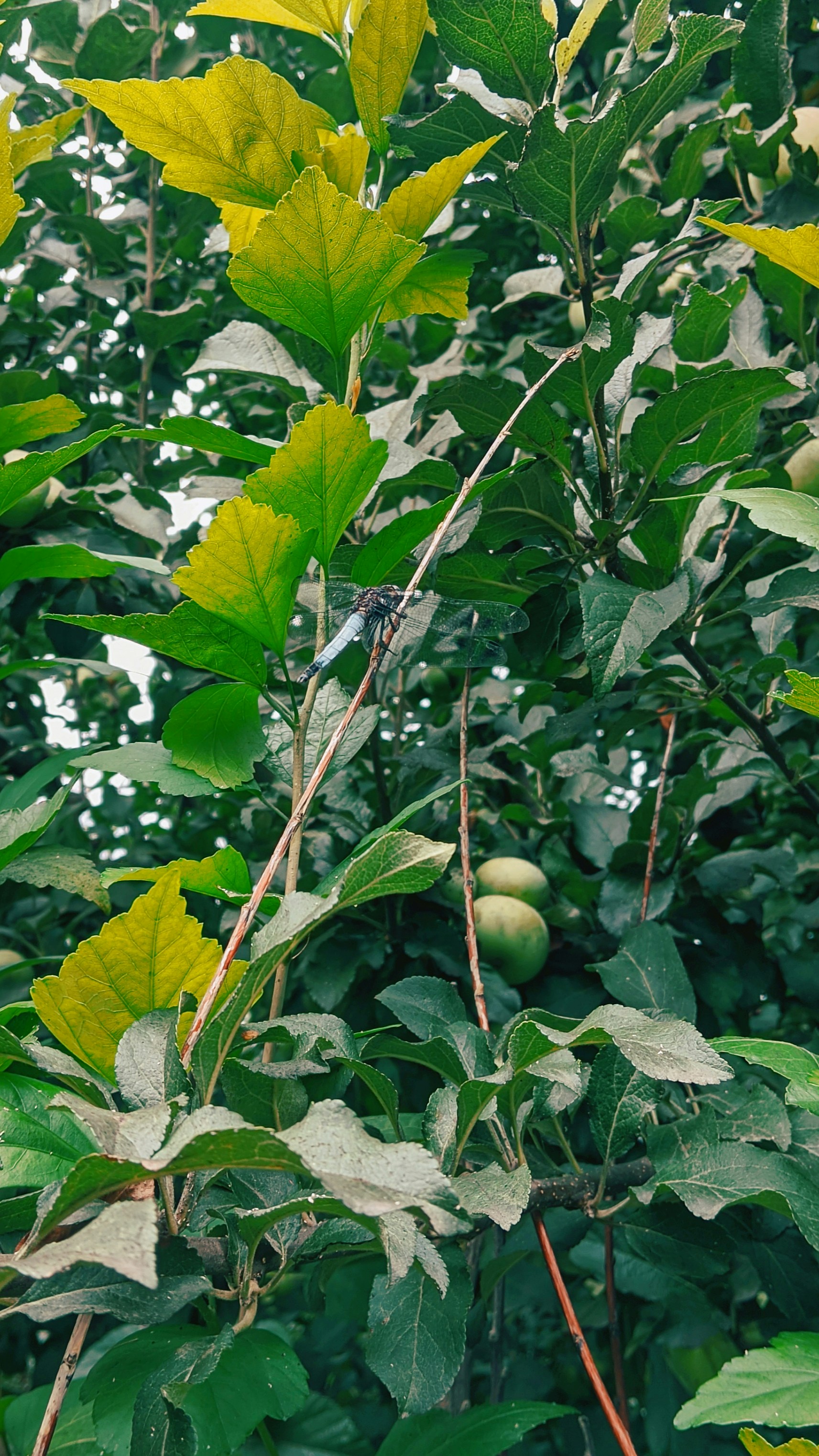 Photo by kazimbhai_photography