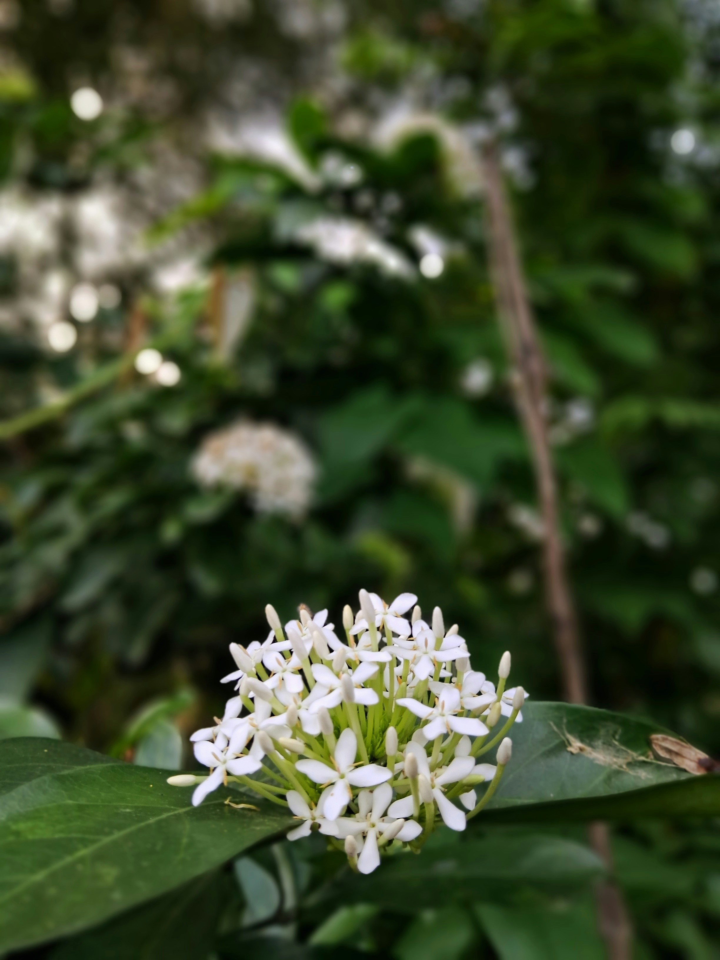 Photo by aadhu119