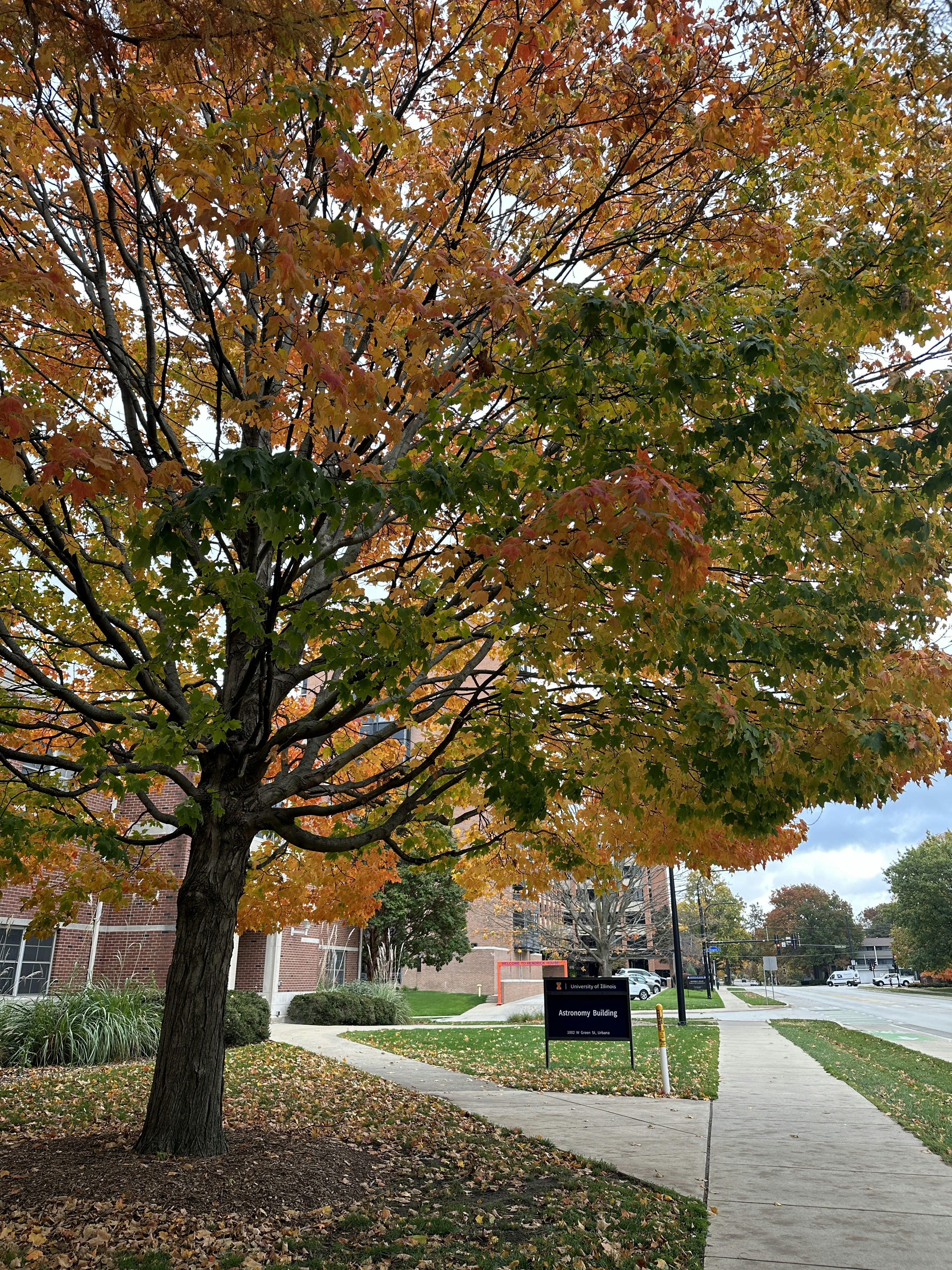 Photo by iridescent_wyh