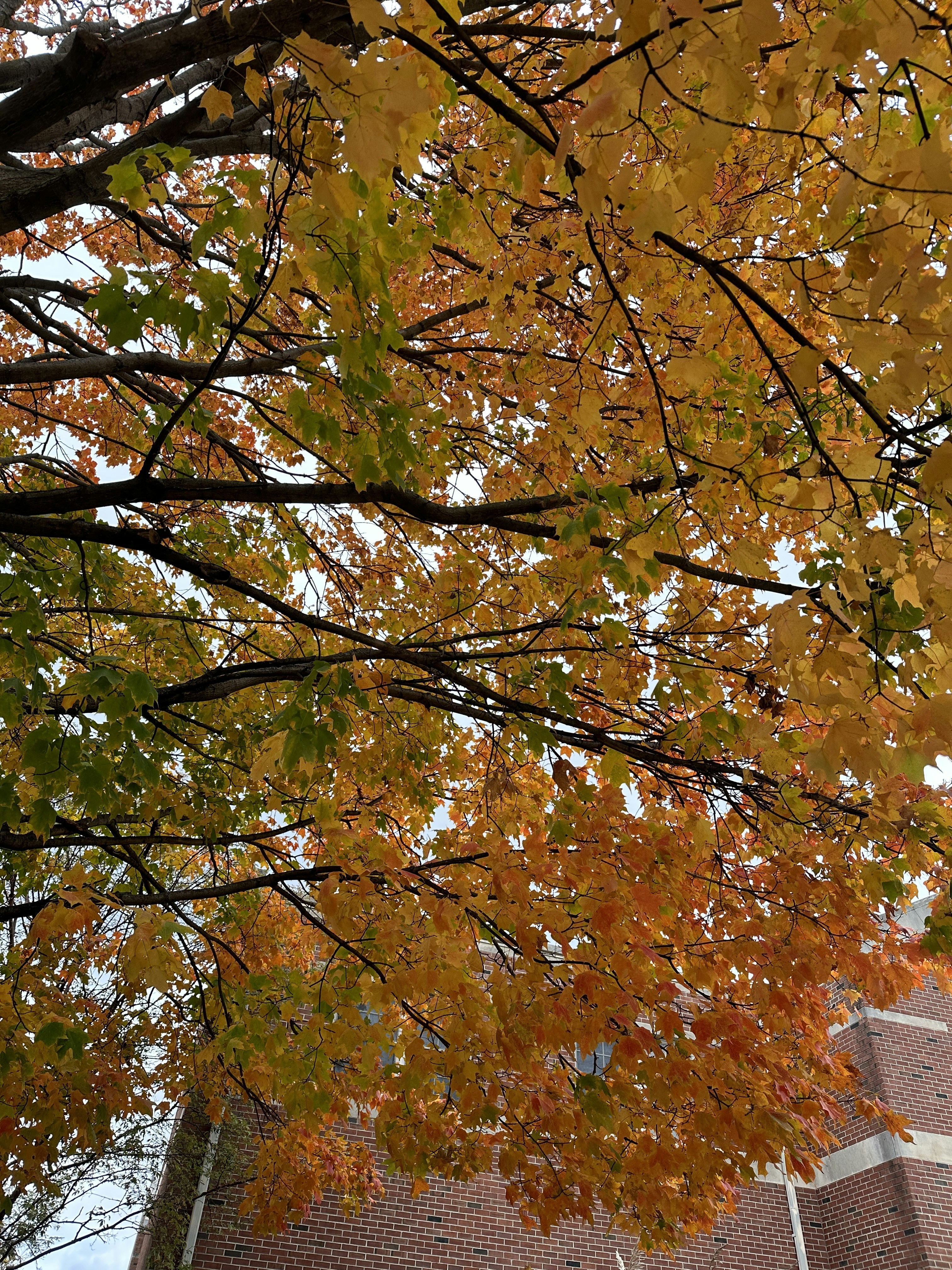 Photo by iridescent_wyh