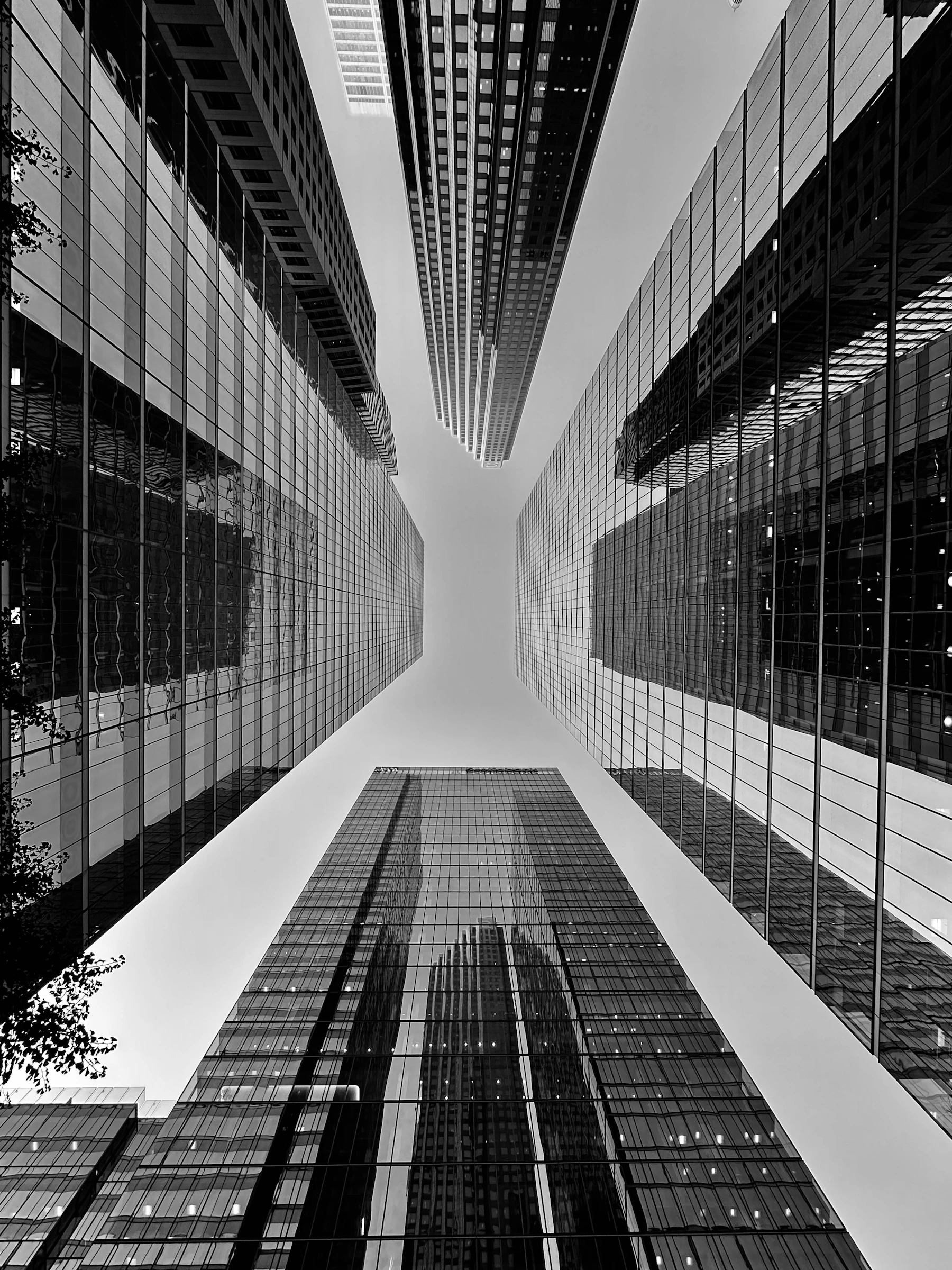 Office towers in monochrome