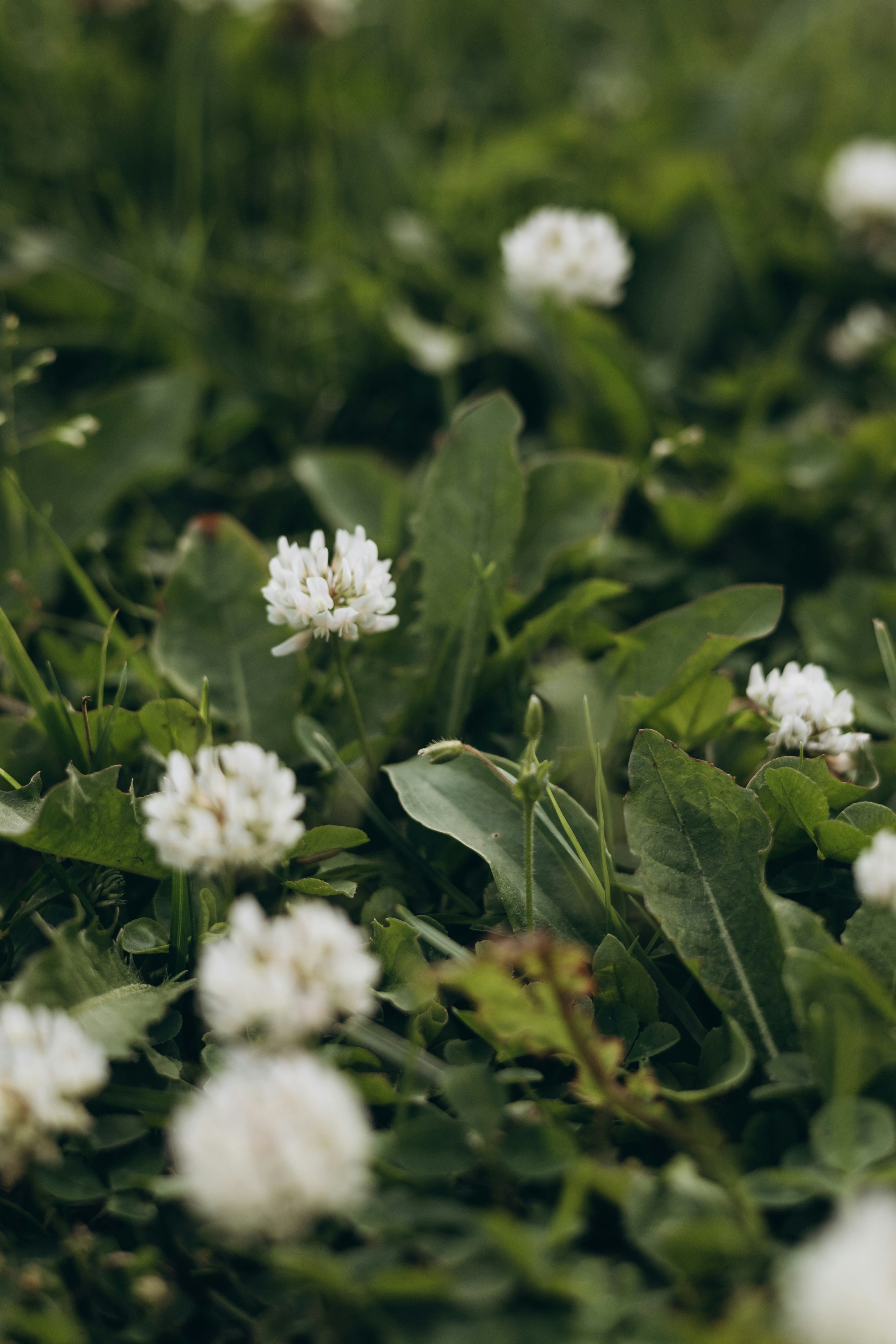 Photo by korobovaphoto