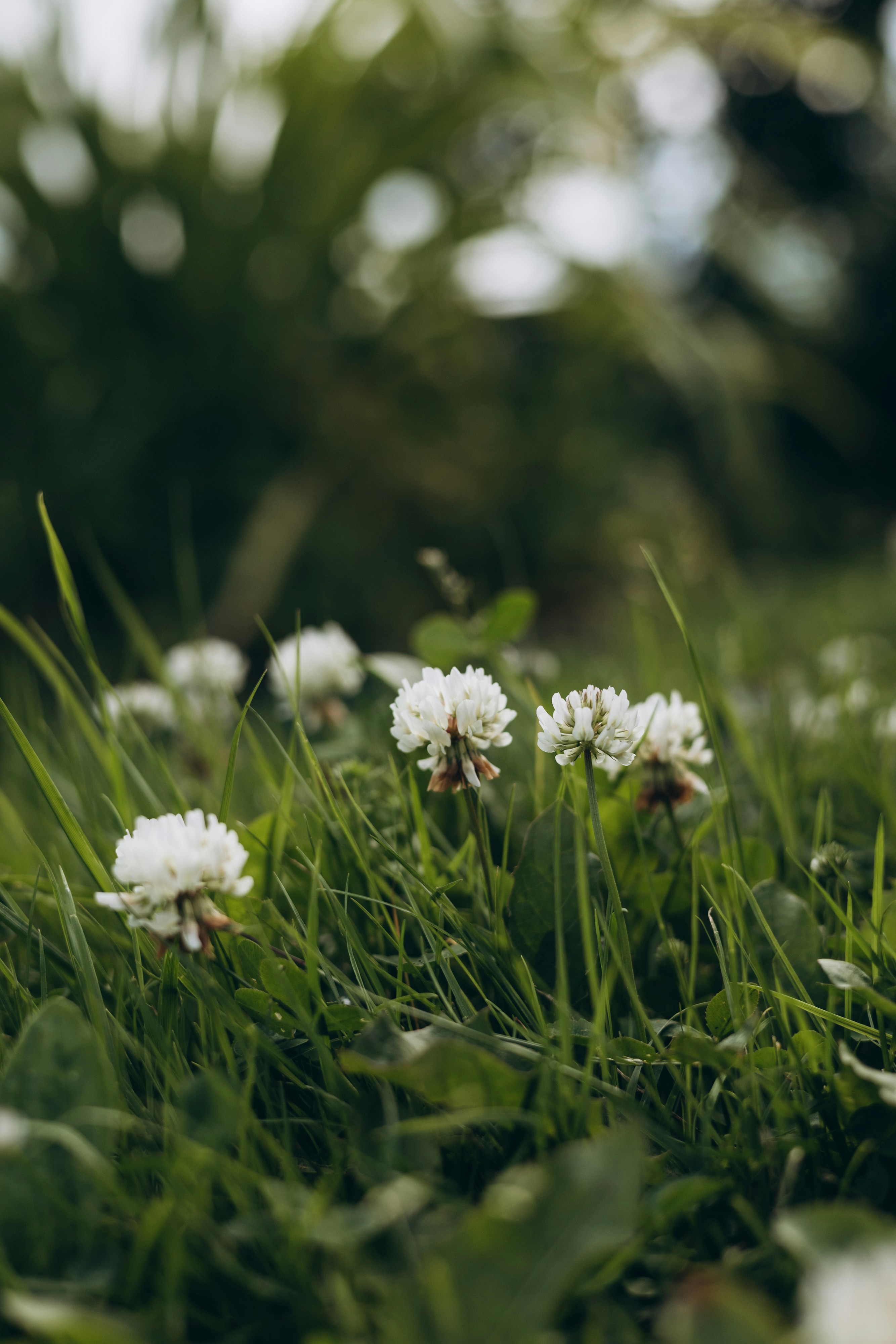 Photo by korobovaphoto