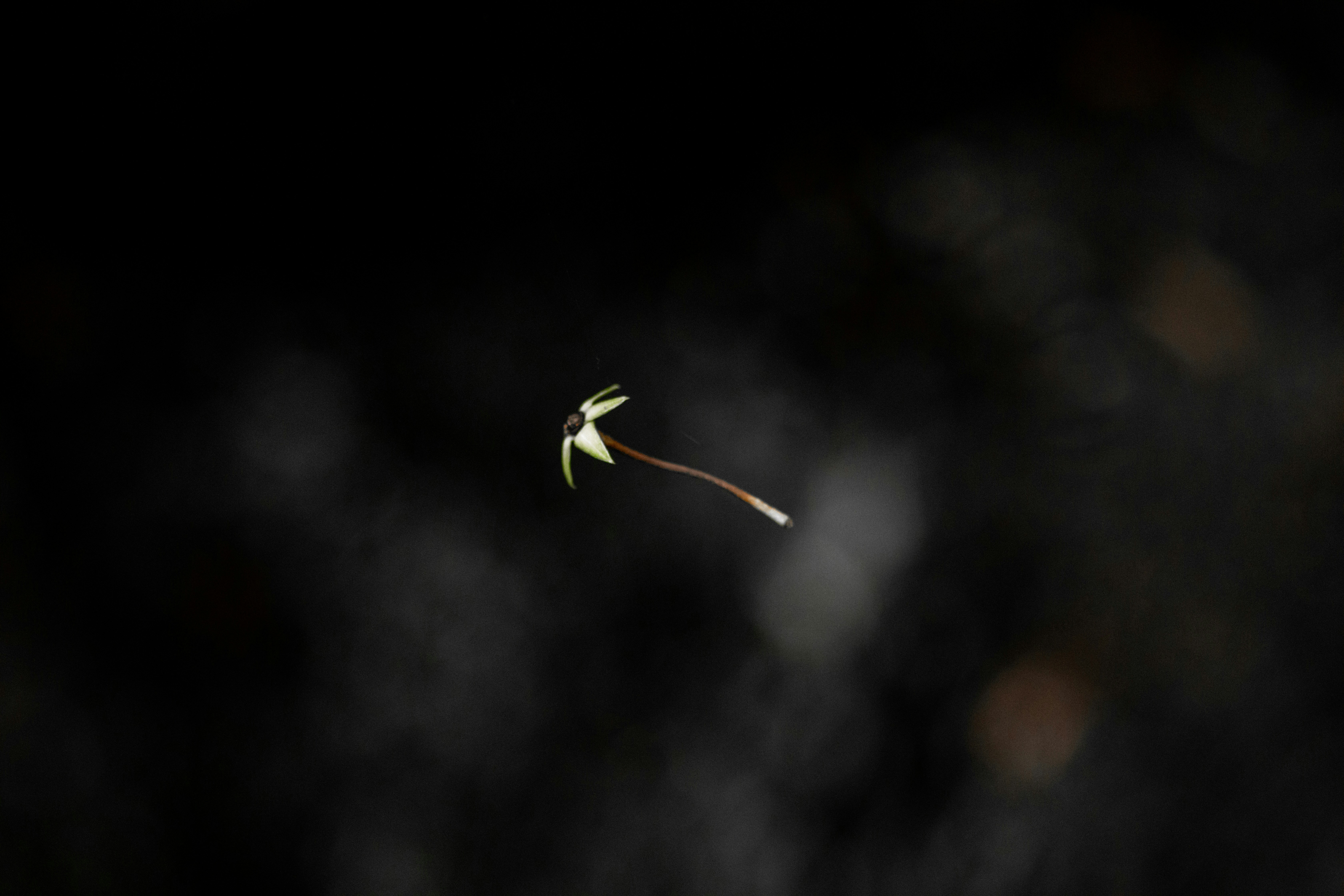 Photo by kyesphotography