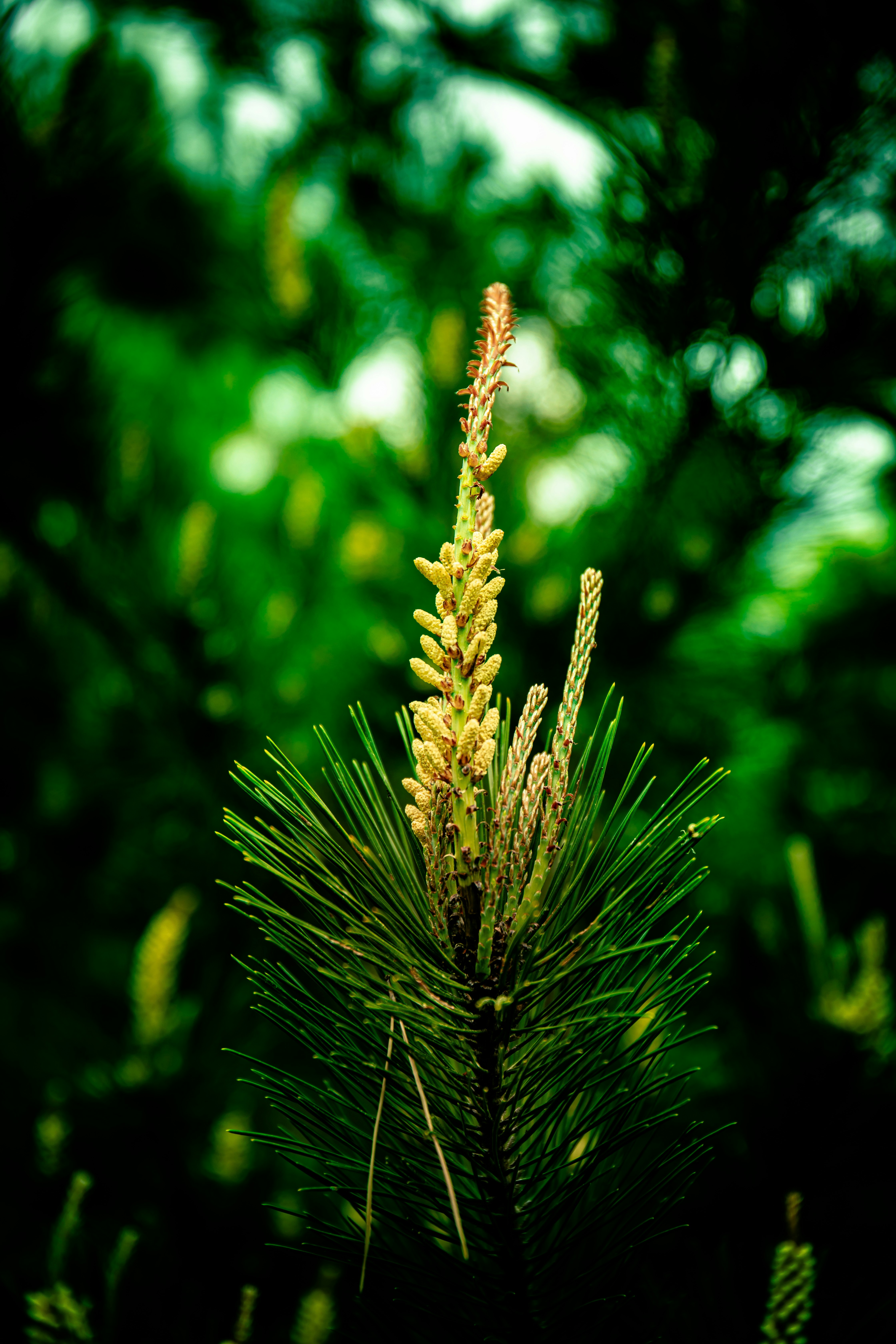 Photo by kyesphotography