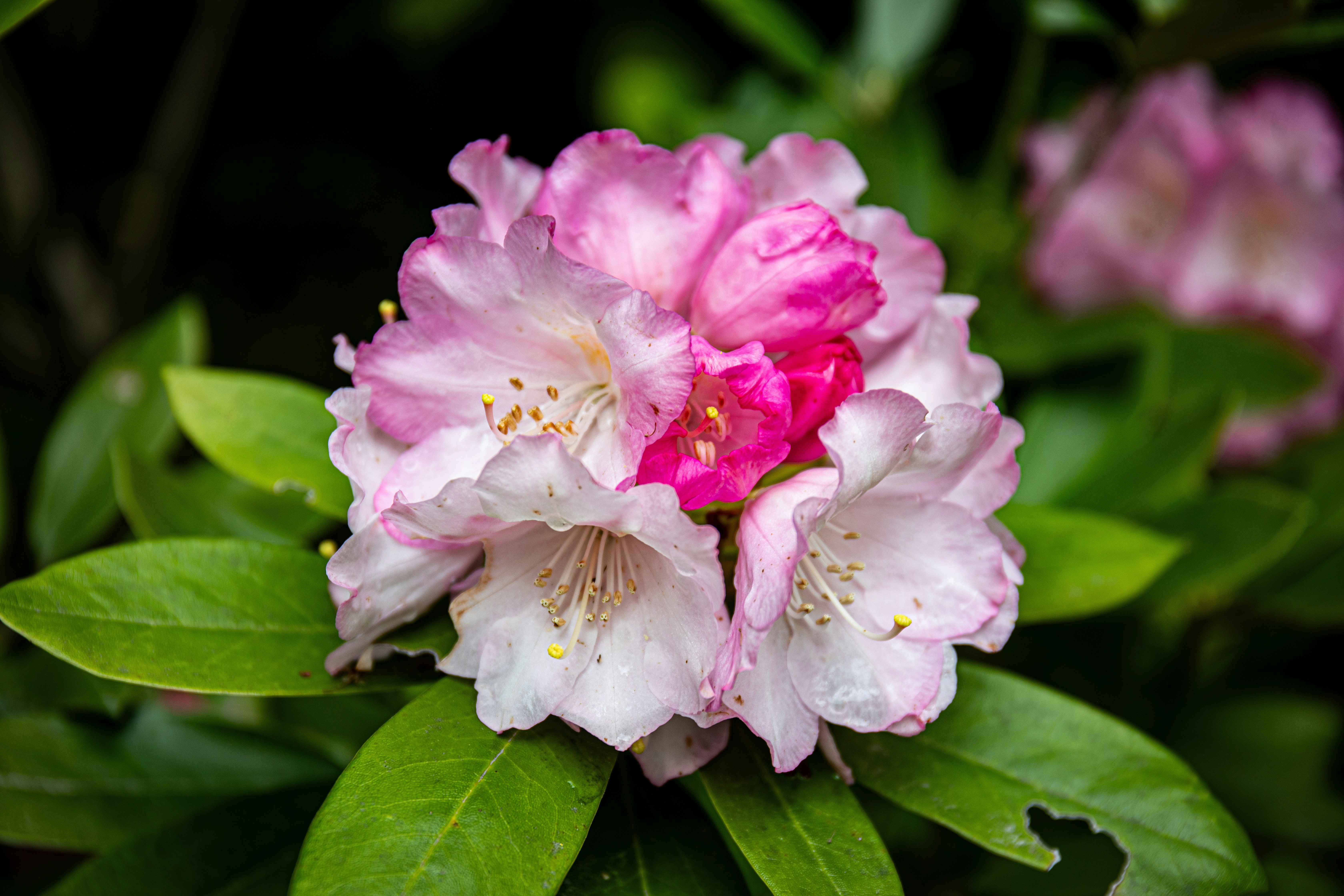 Photo by kyesphotography