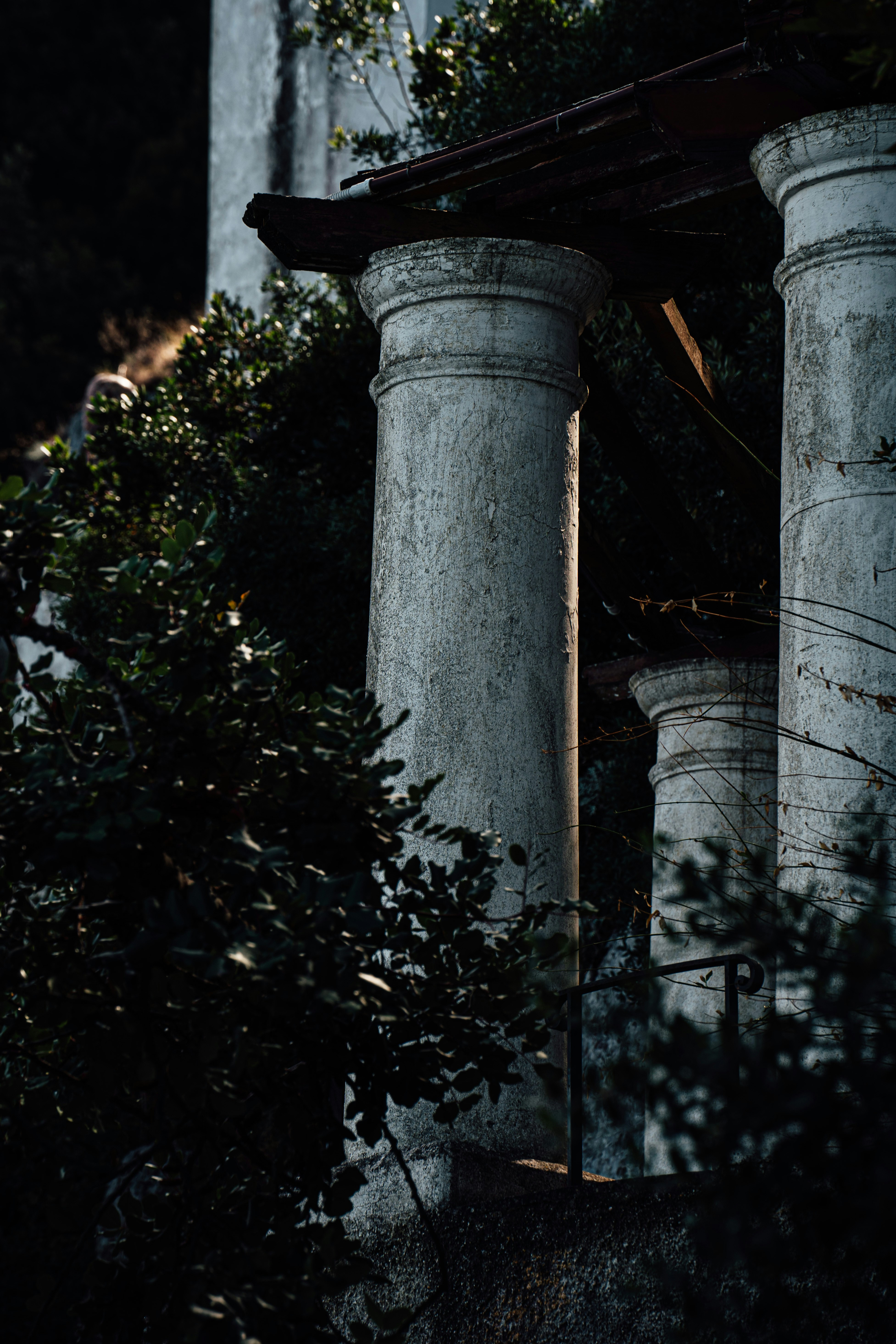 Photo by benjamin_photo_lab