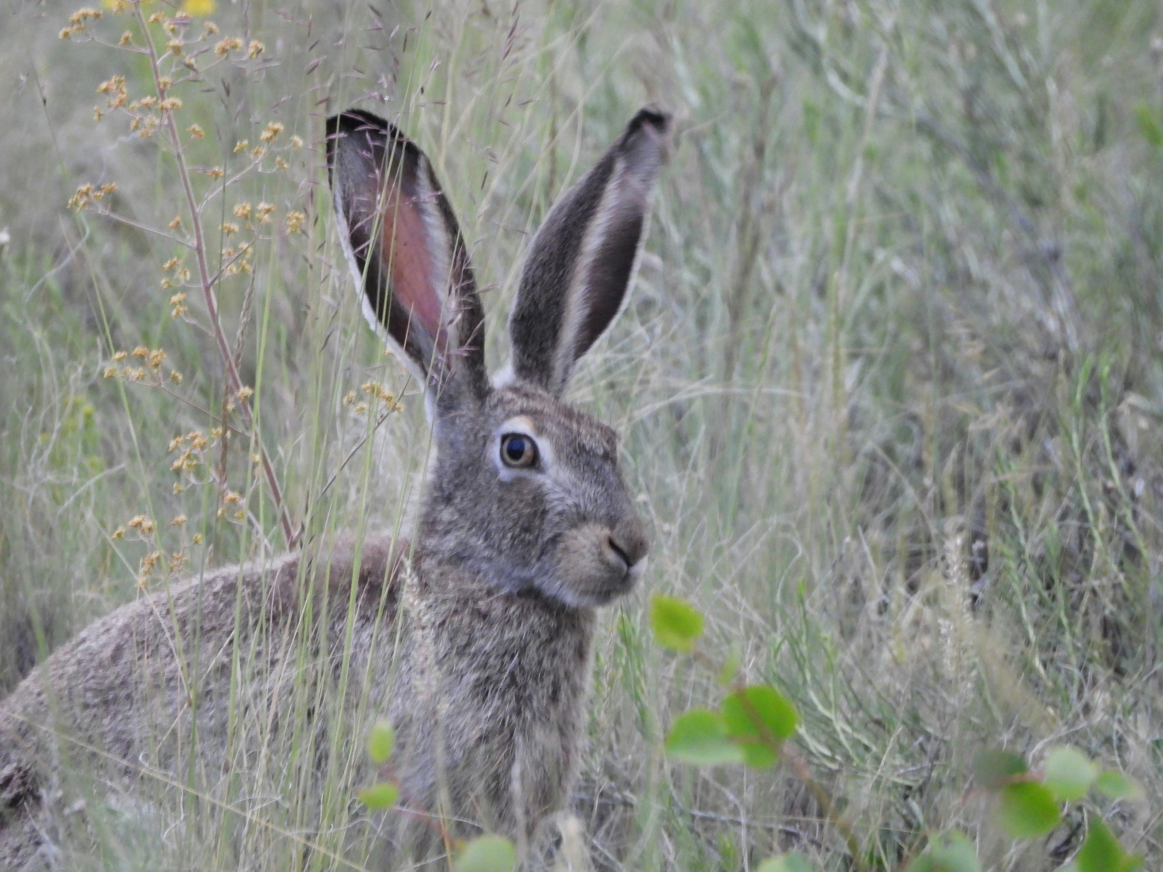 Photo by evergreene24