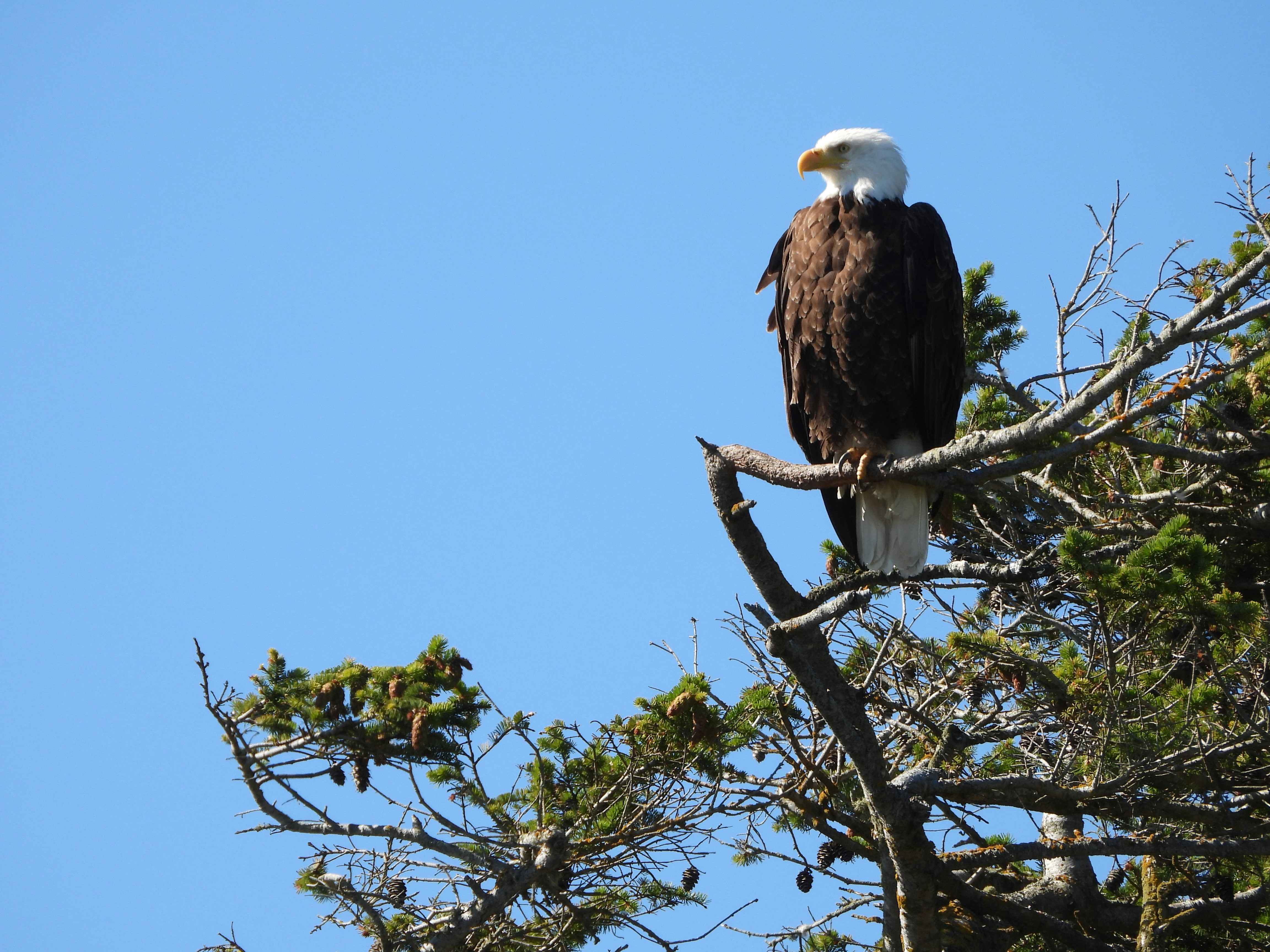 Photo by evergreene24