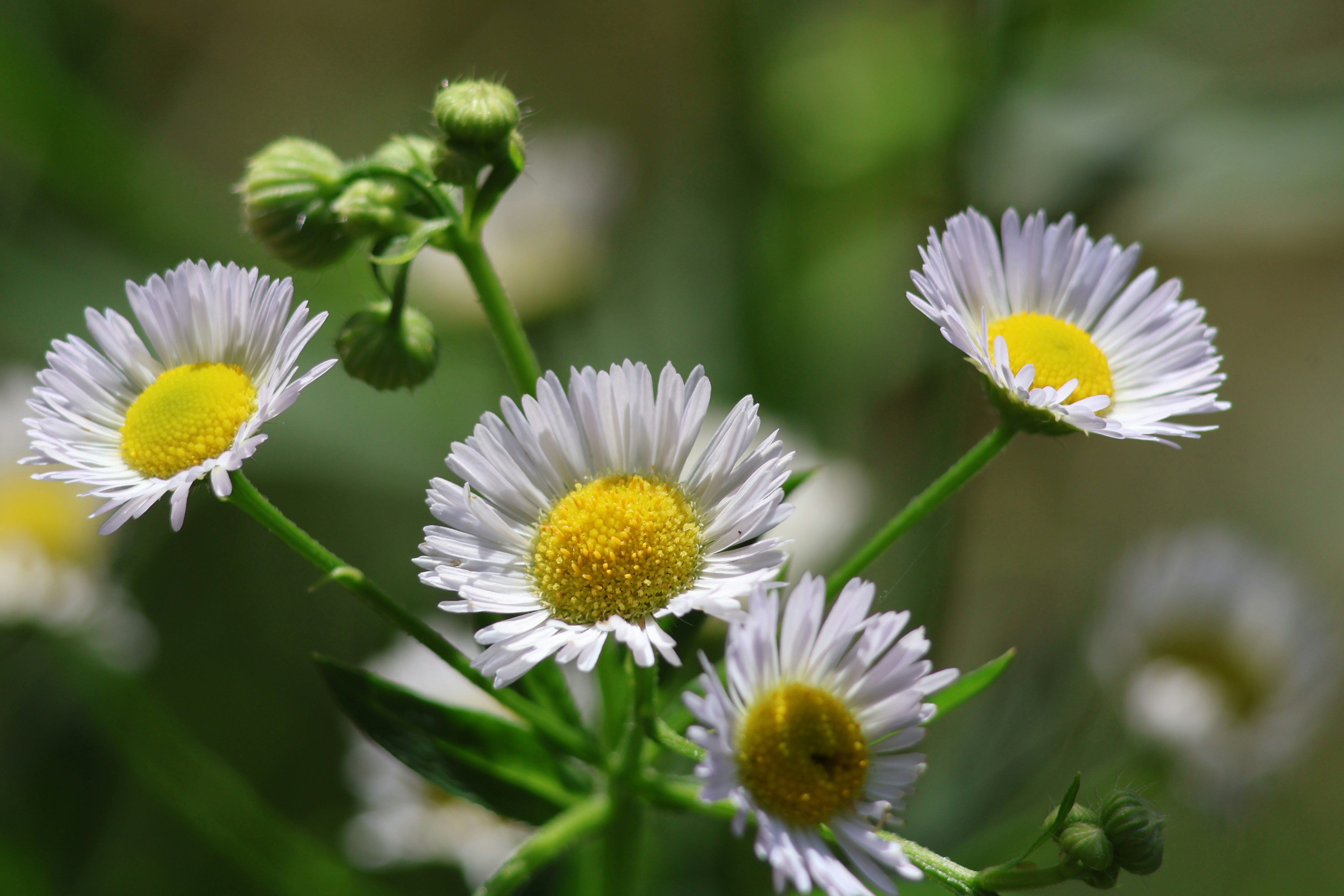 Photo by shooter__andy