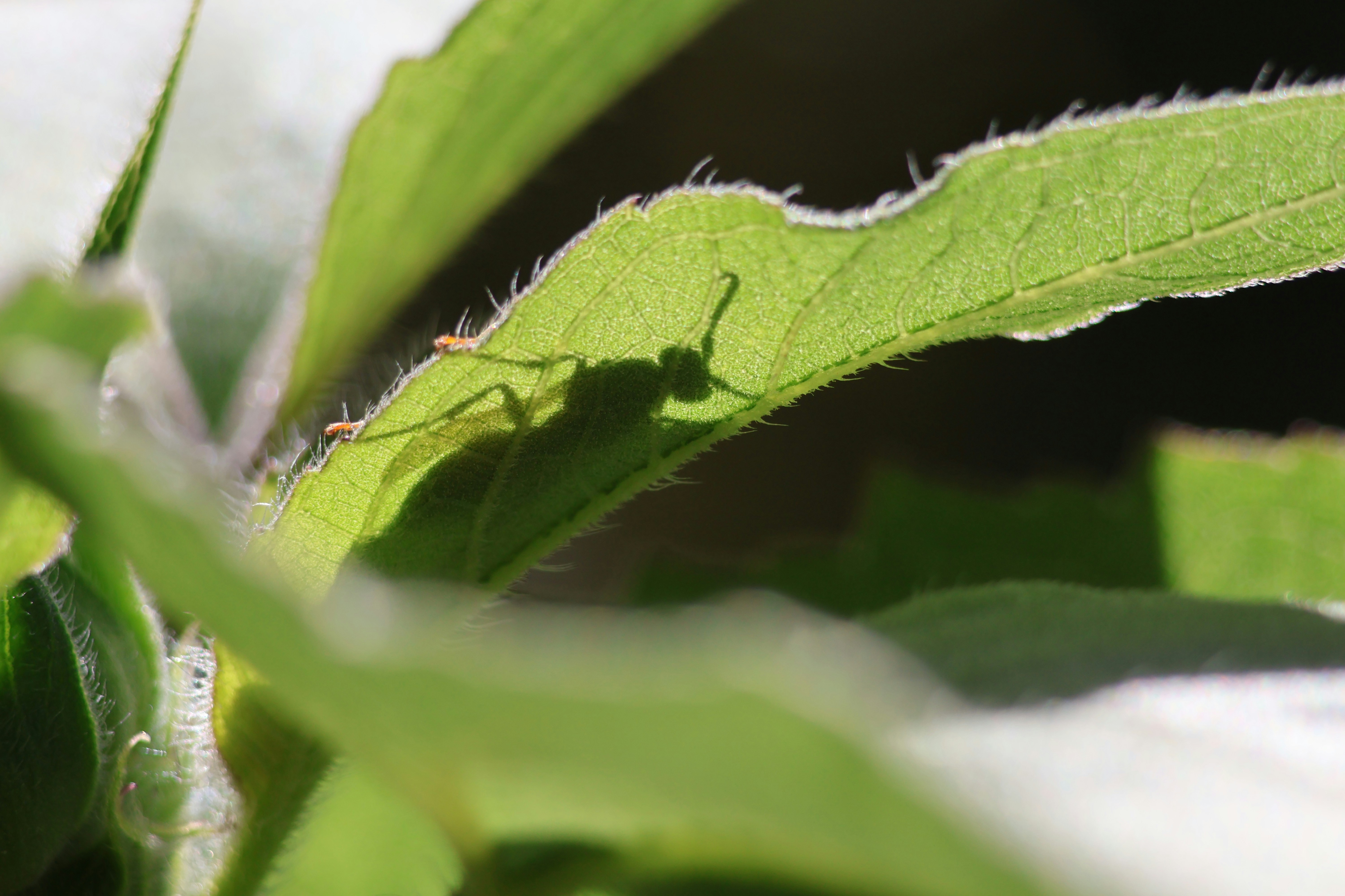 Photo by shooter__andy