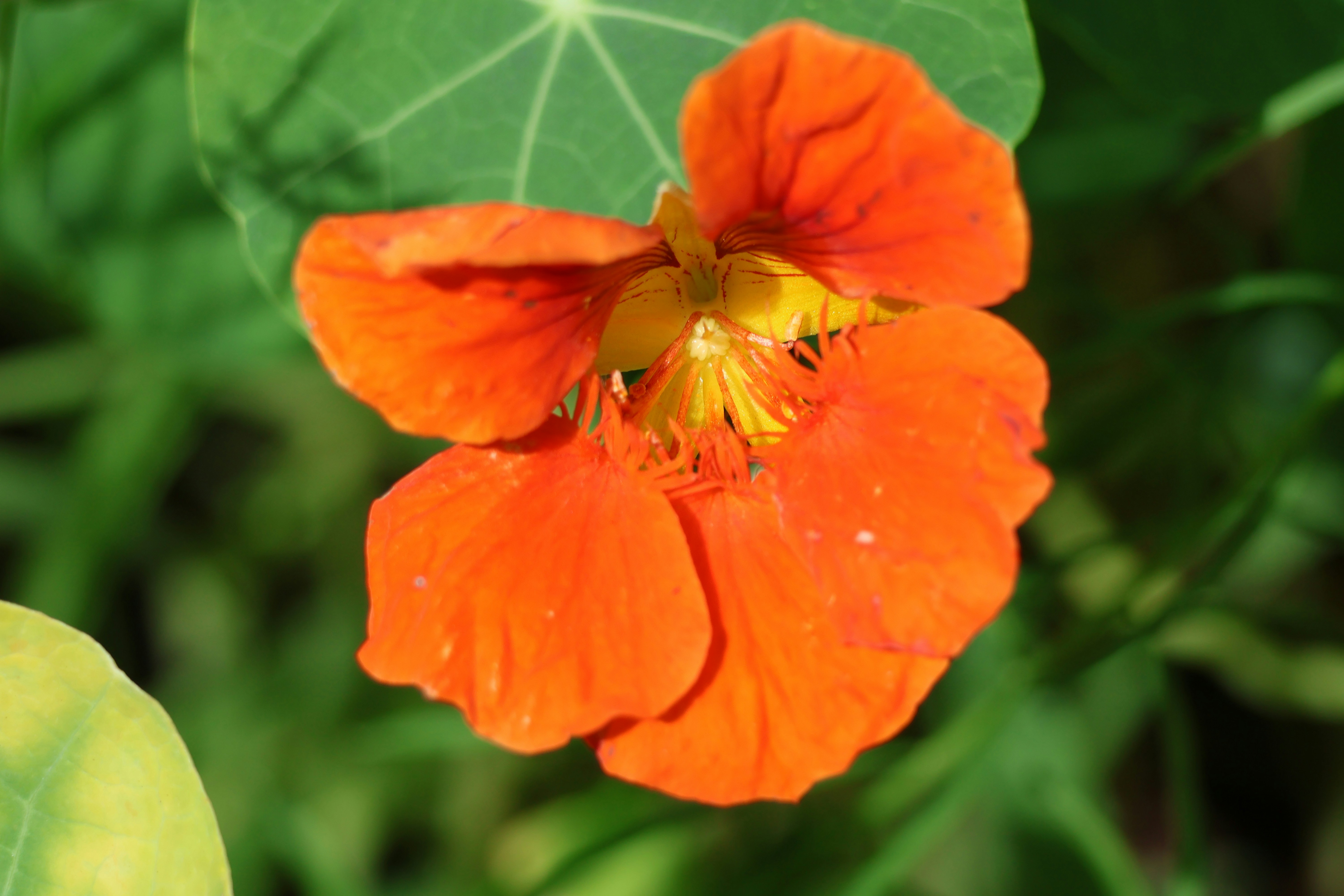 Photo by shooter__andy