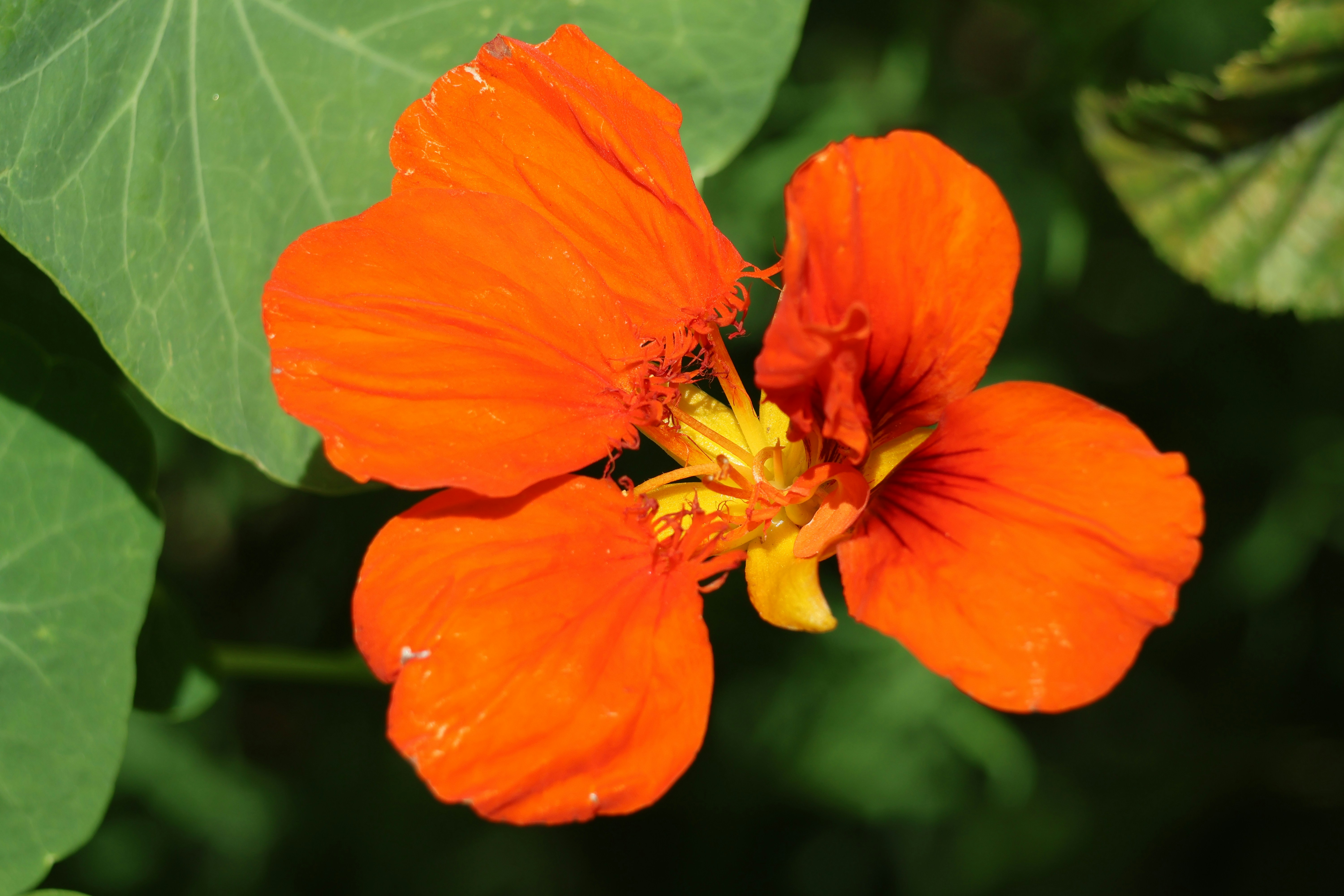 Photo by shooter__andy