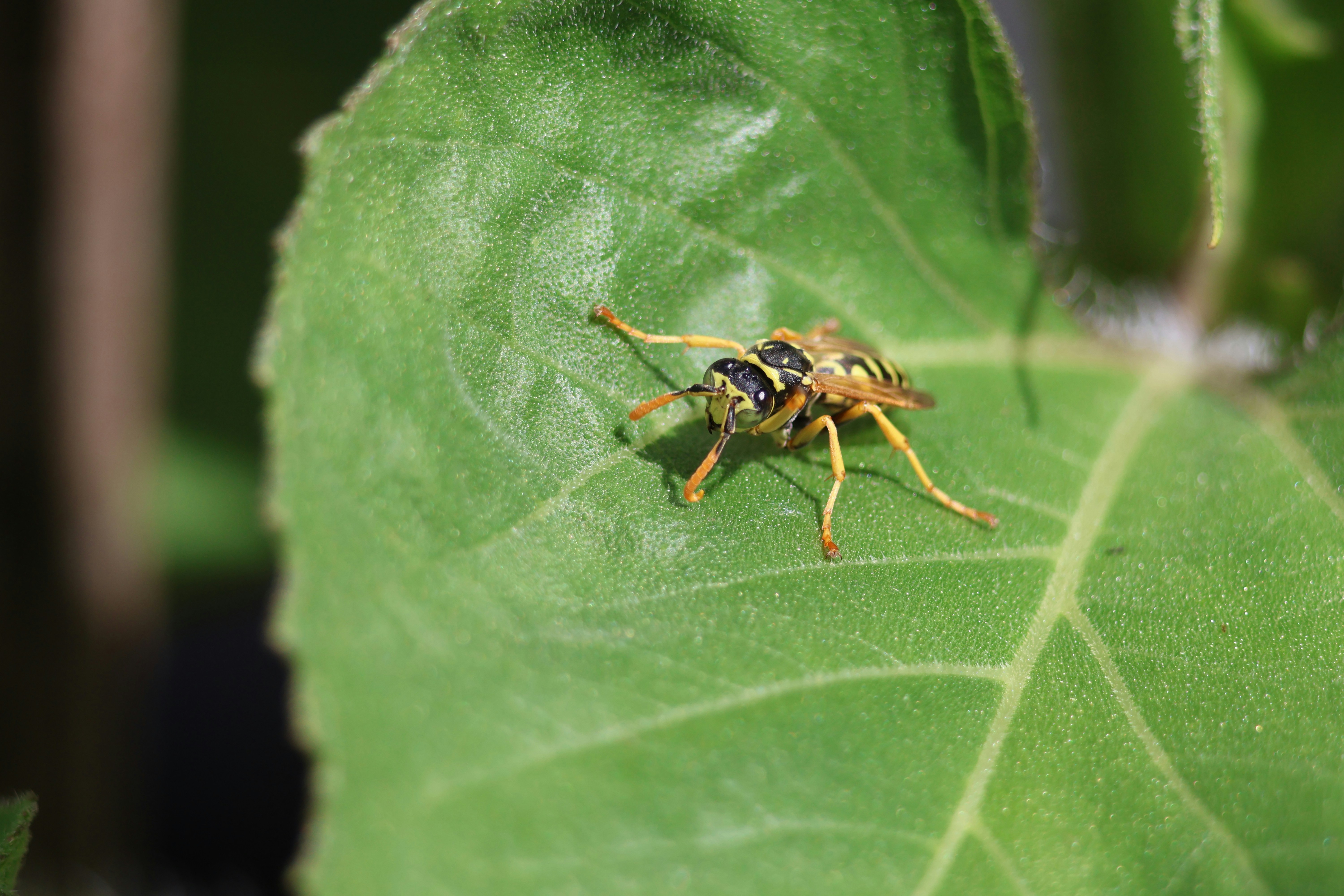 Photo by shooter__andy