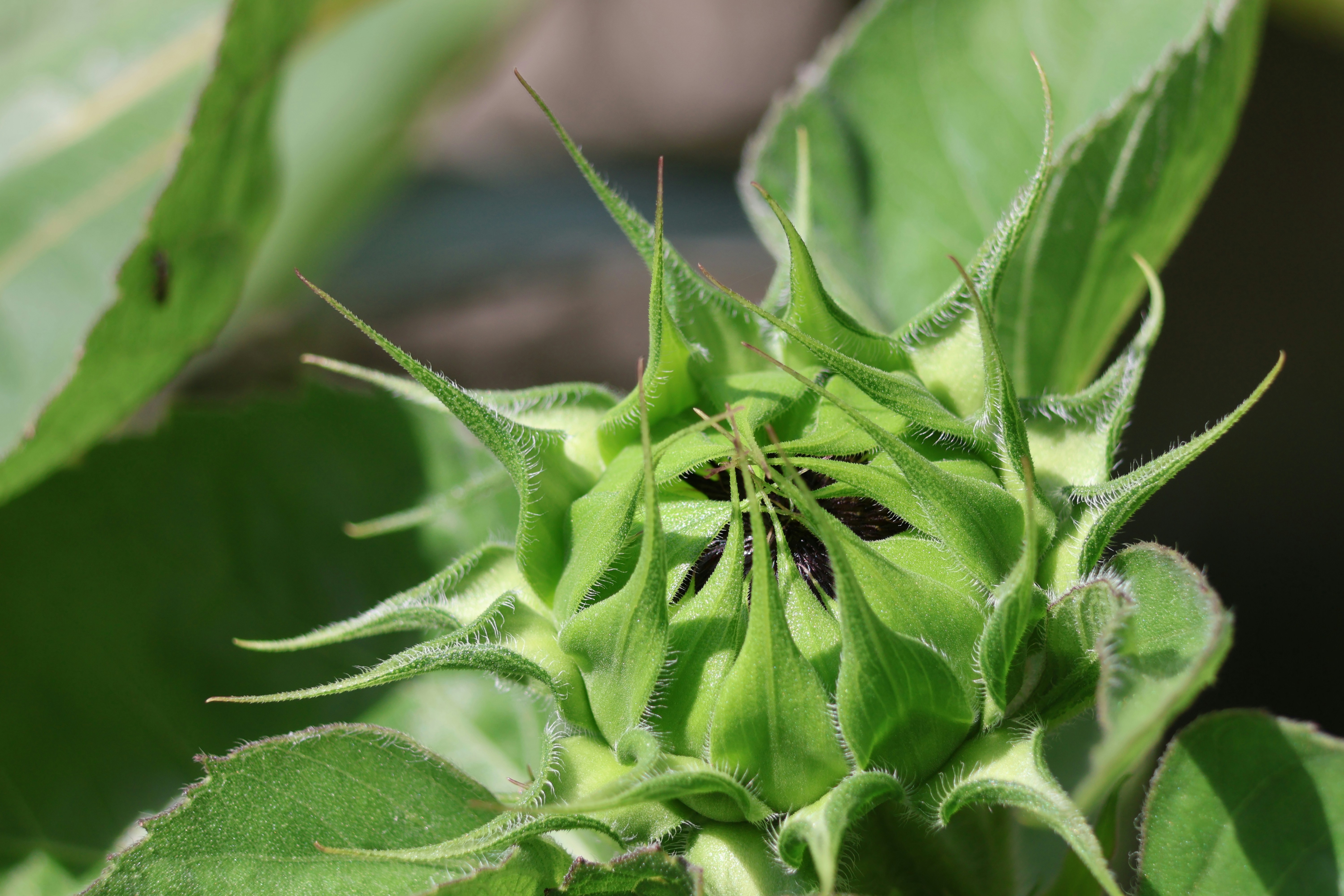 Photo by shooter__andy