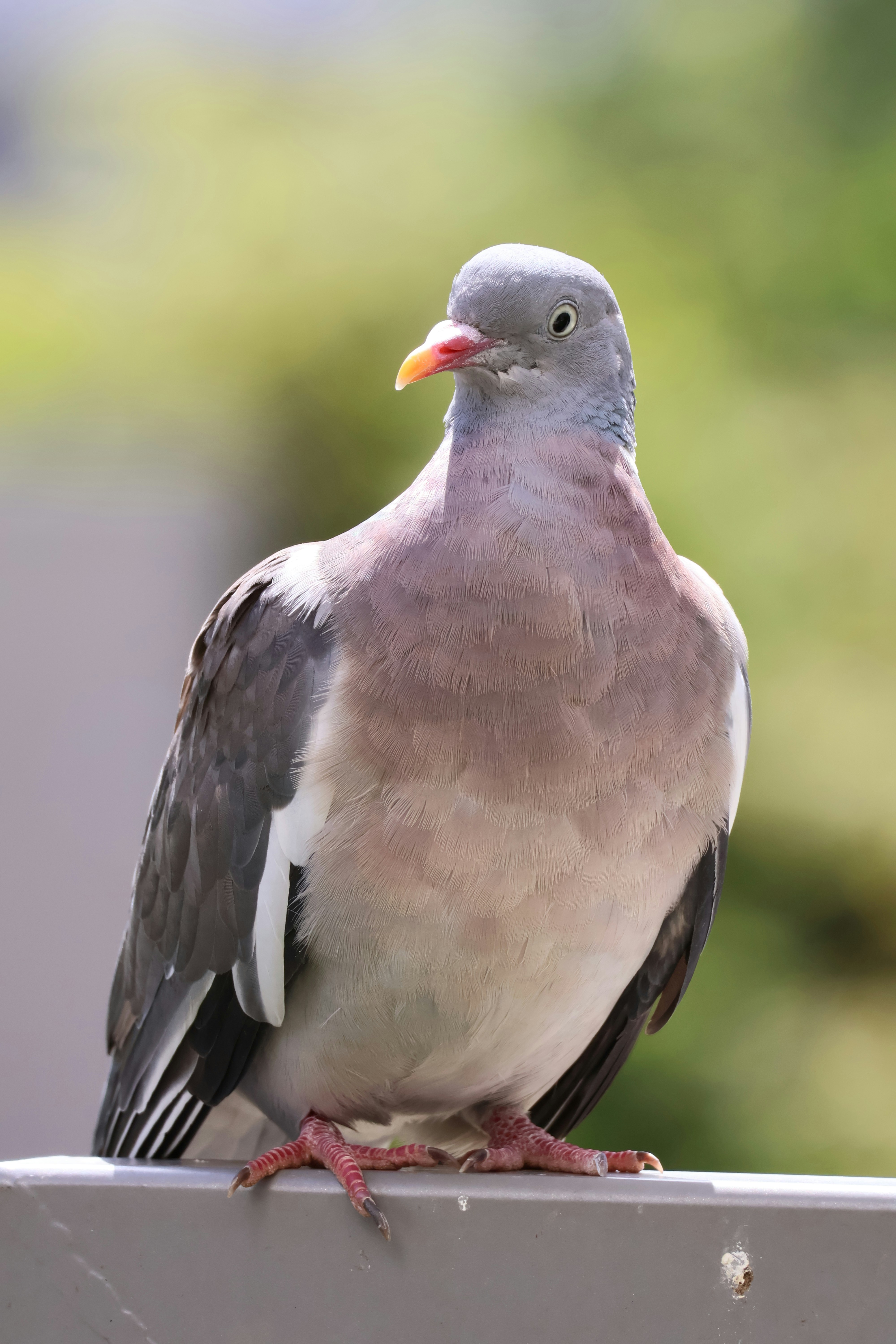 Photo by shooter__andy