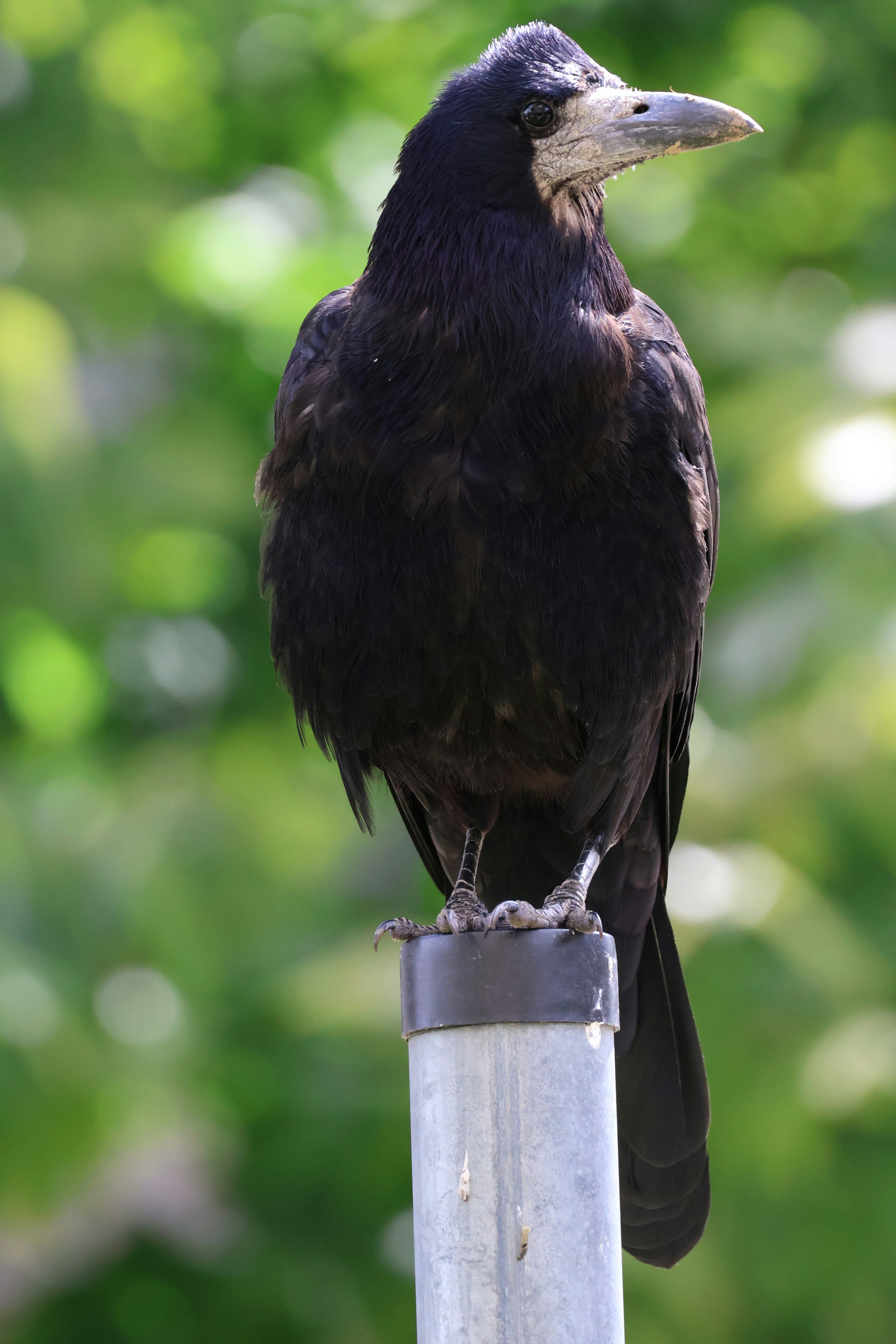 Photo by shooter__andy