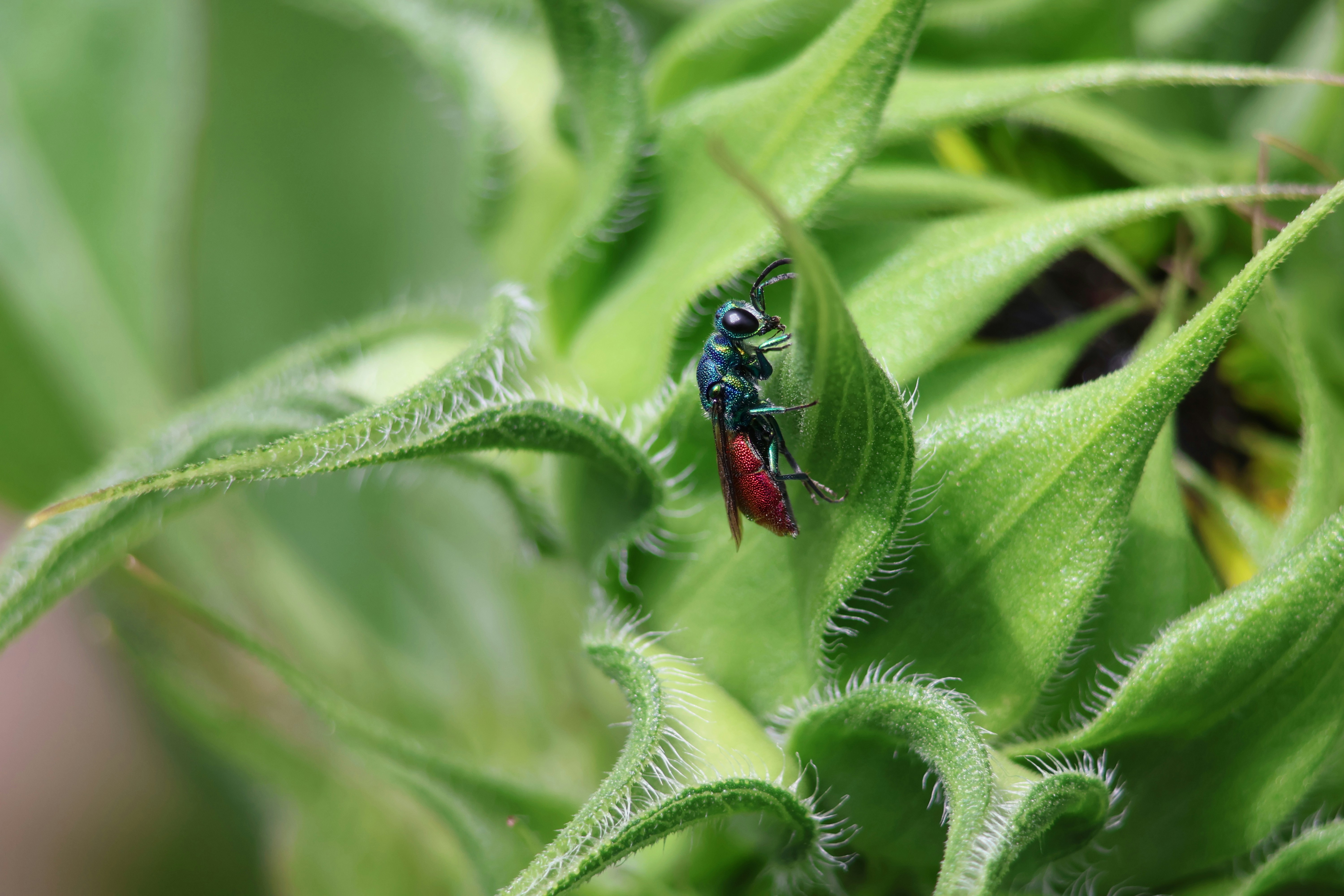 Photo by shooter__andy