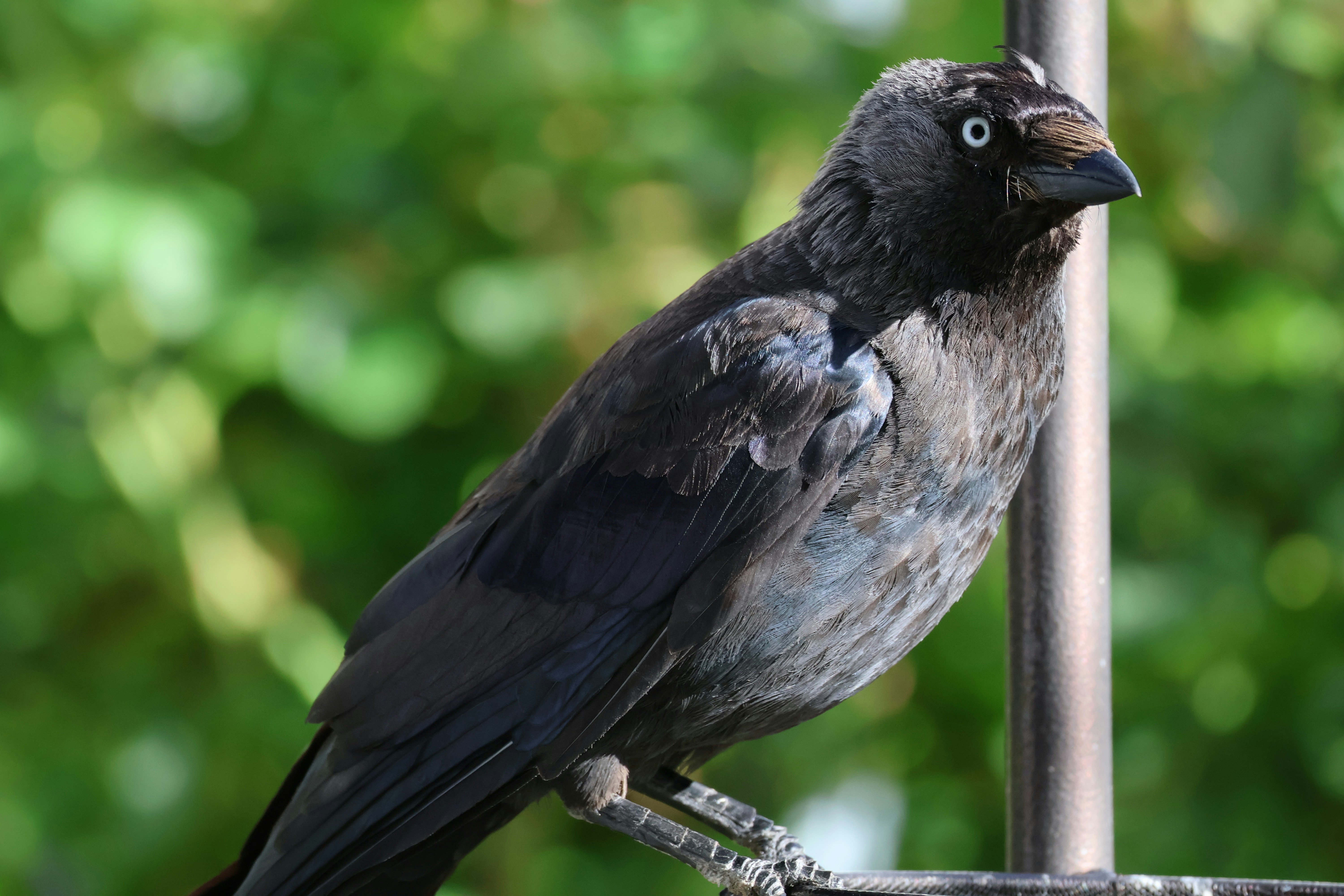 Photo by shooter__andy