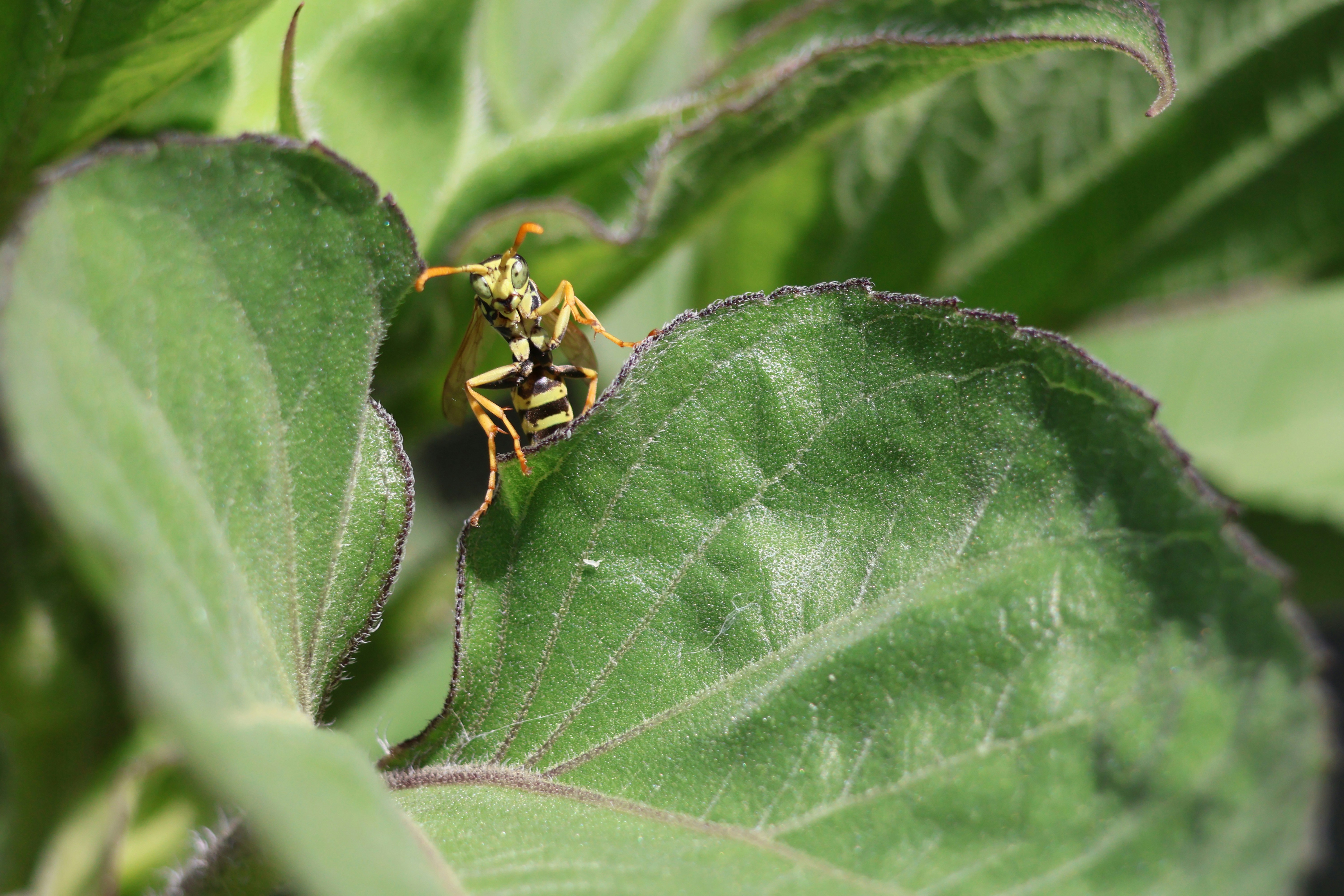 Photo by shooter__andy