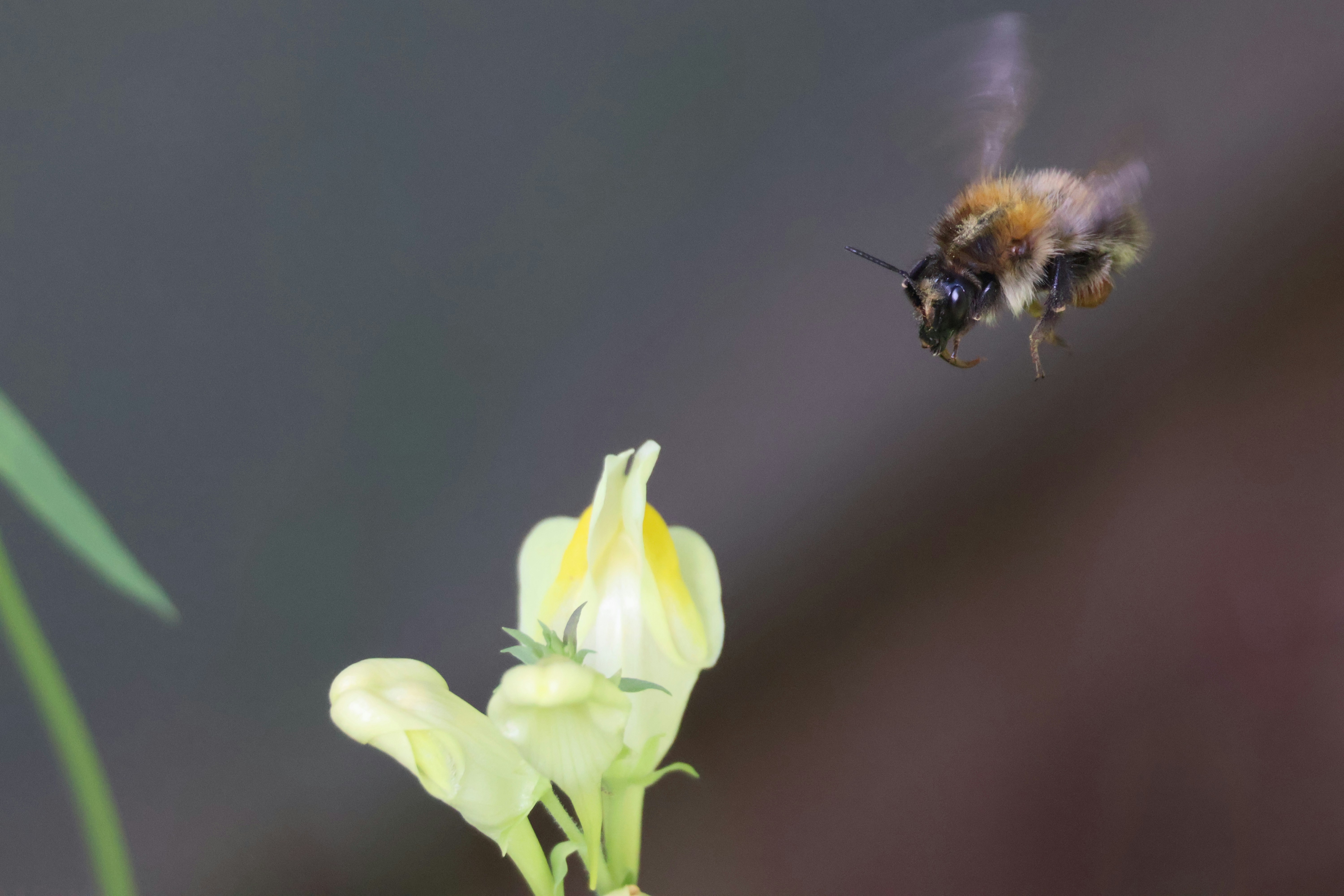 Photo by shooter__andy