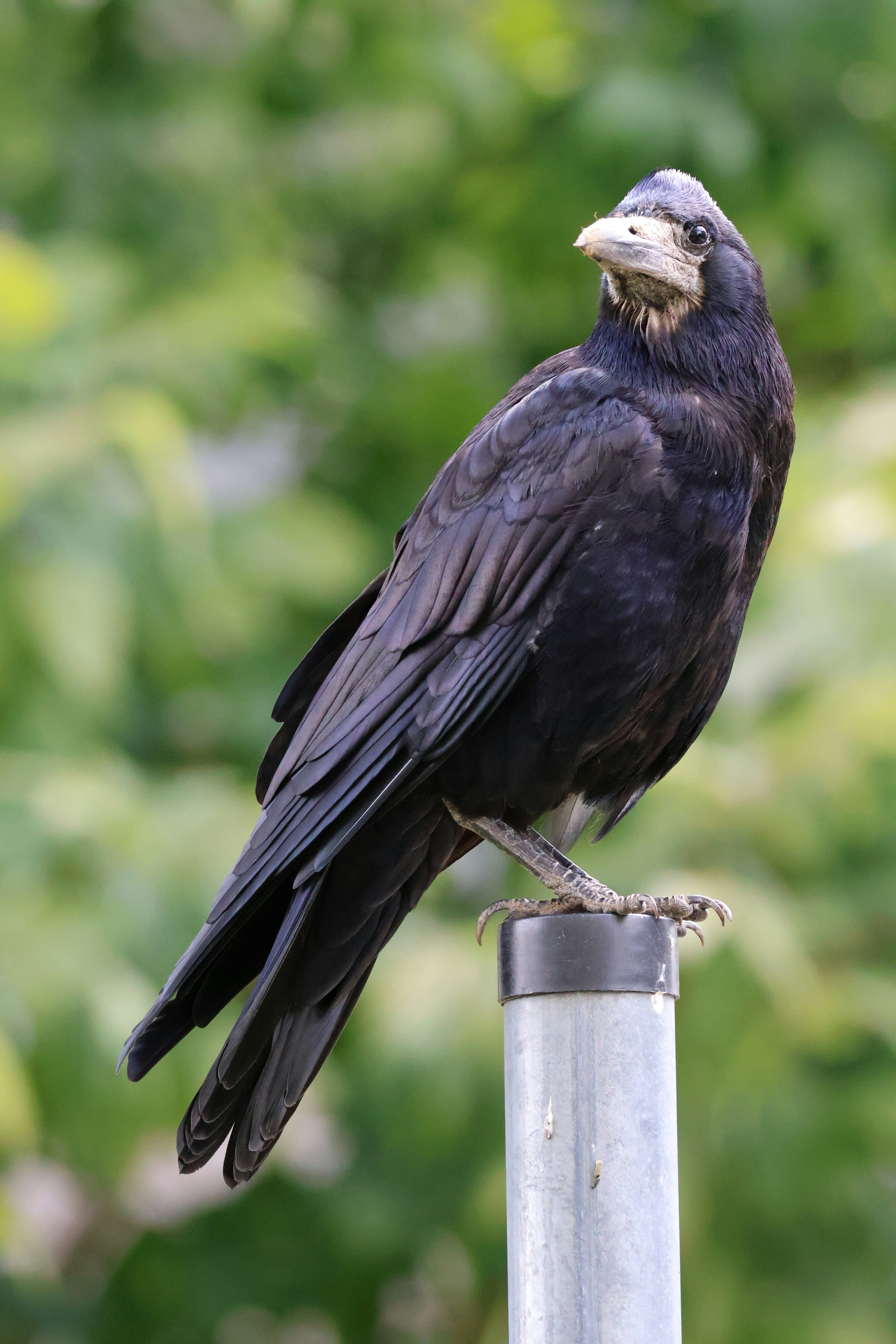 Photo by shooter__andy