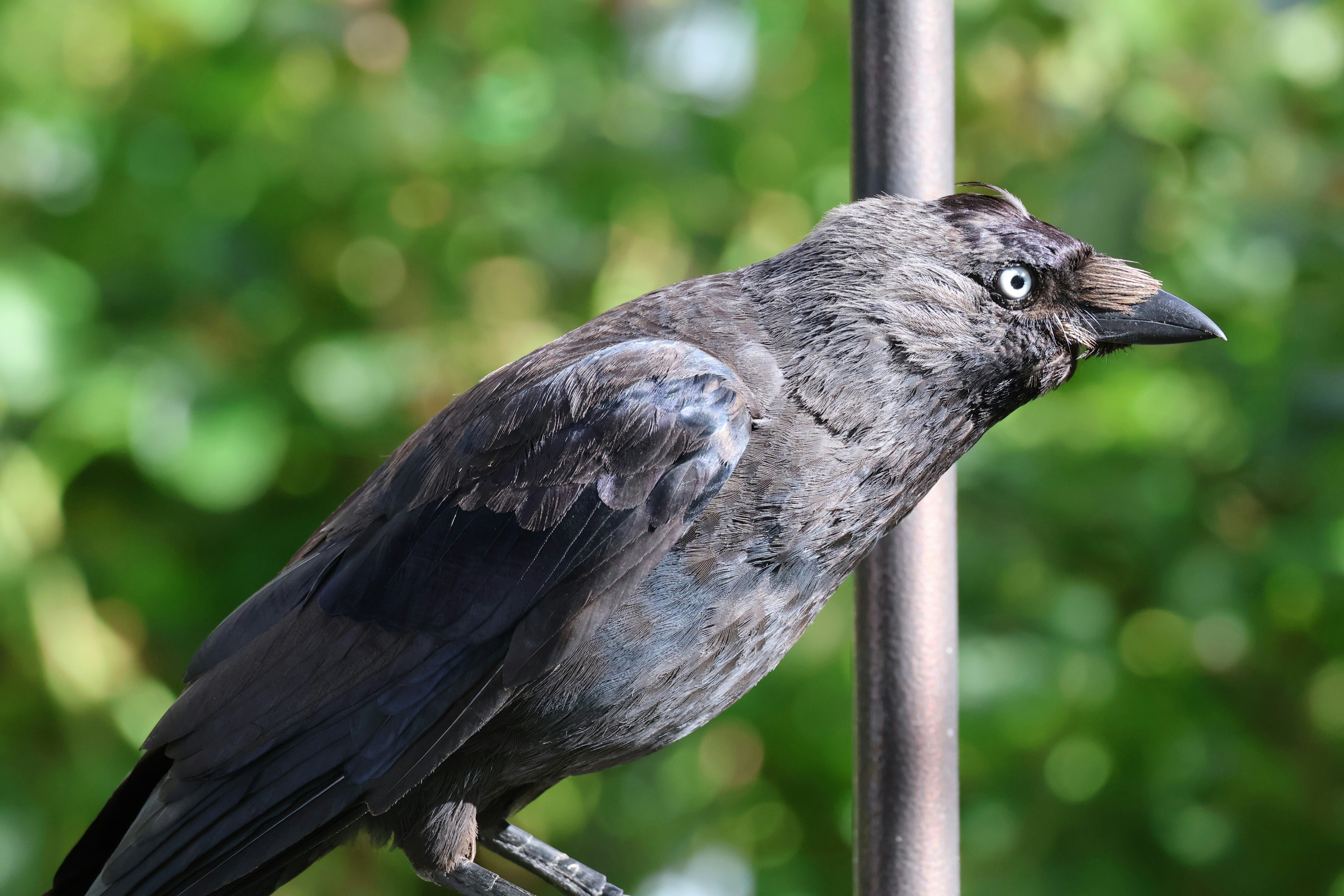 Photo by shooter__andy