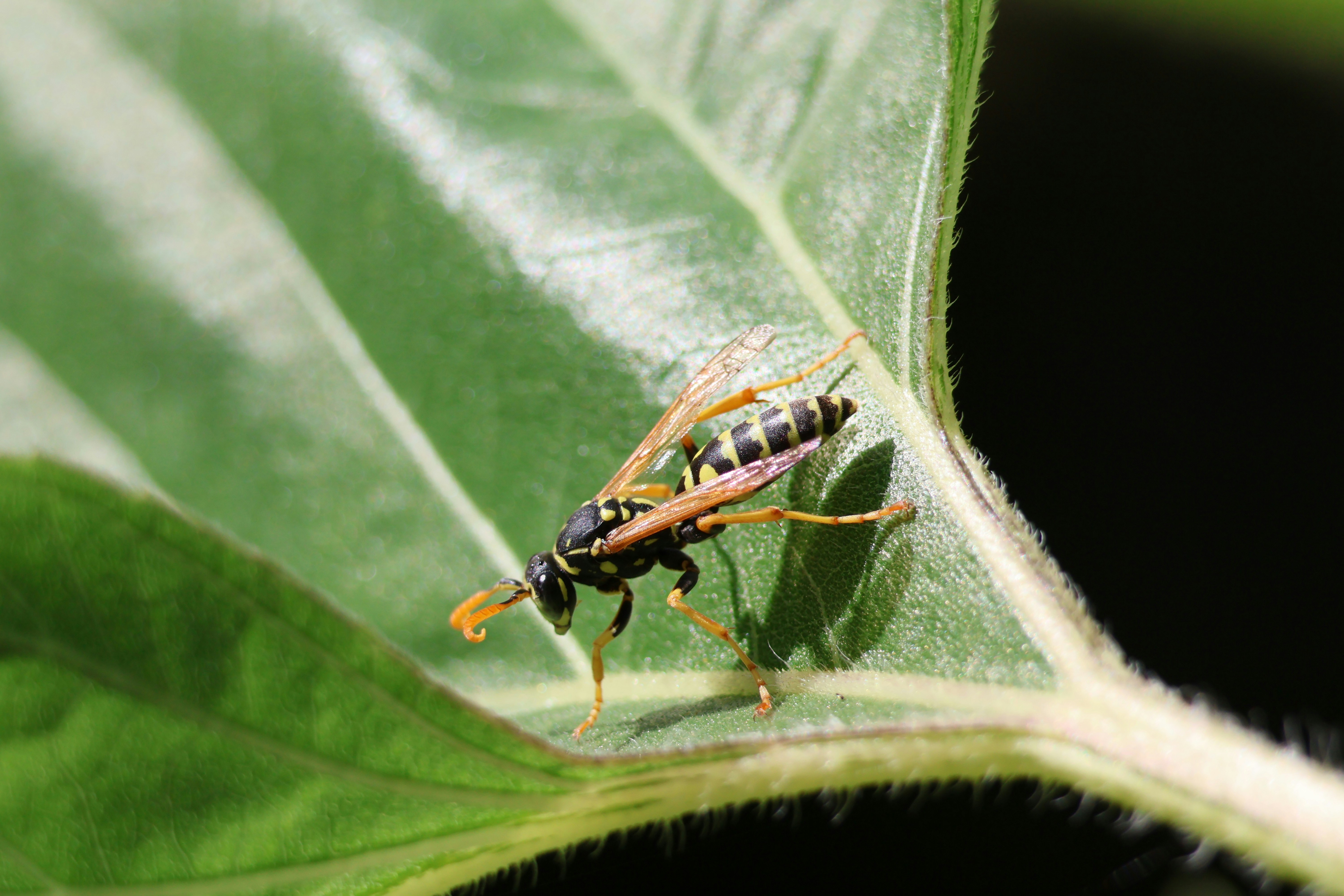 Photo by shooter__andy