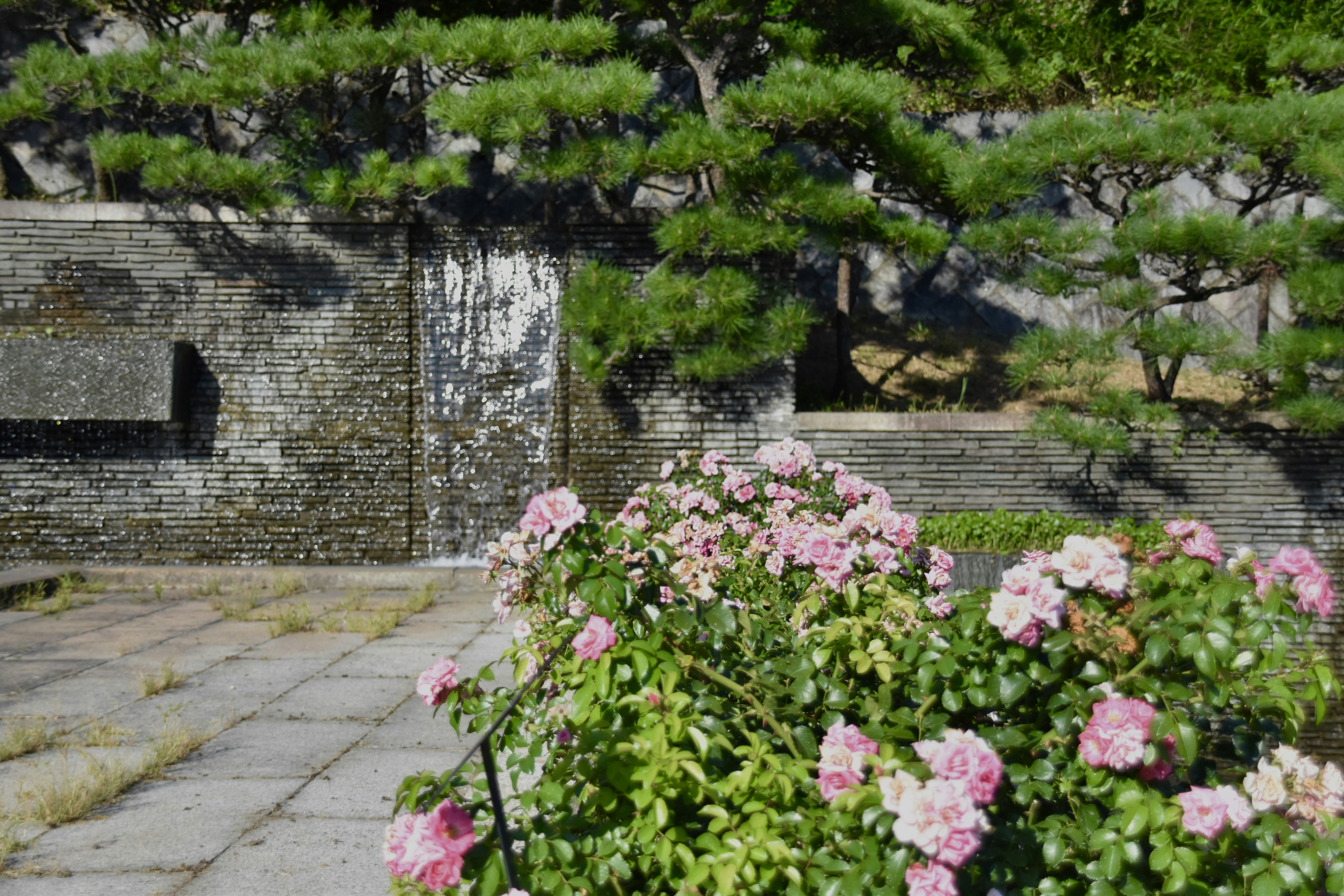 Uma passarela de pedra com flores cor de rosa em primeiro plano