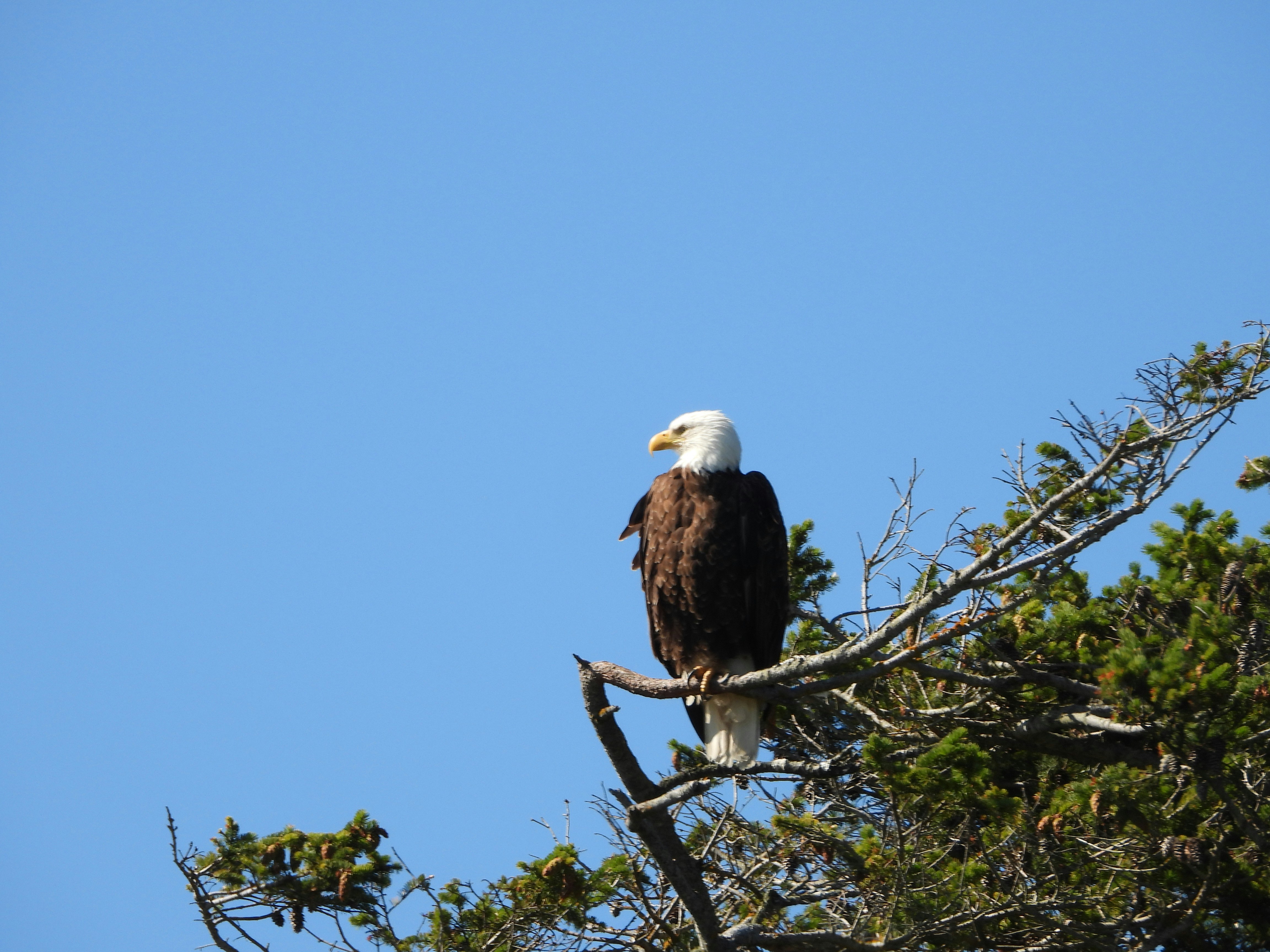 Photo by evergreene24