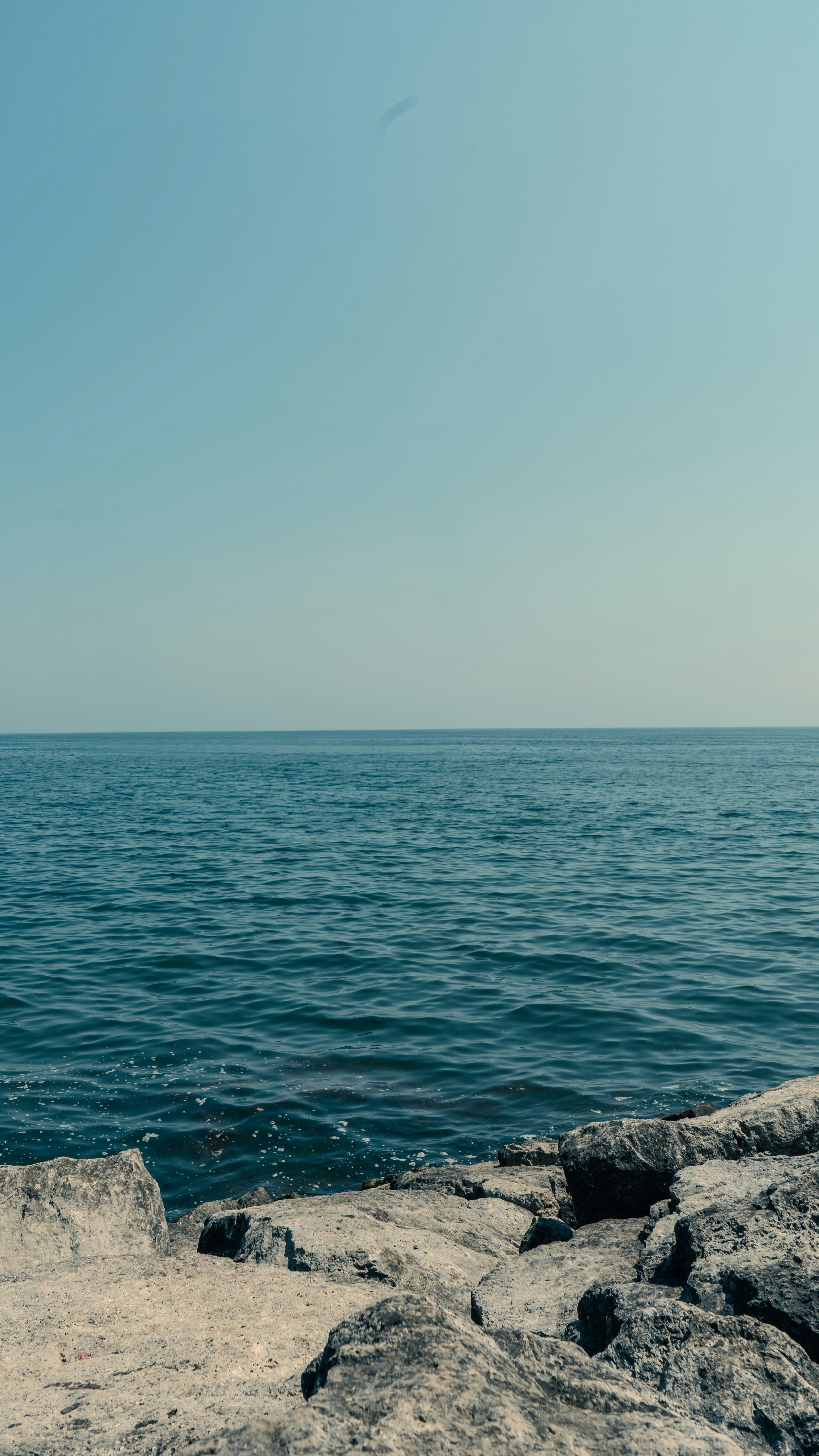 Photo by panjabseyon