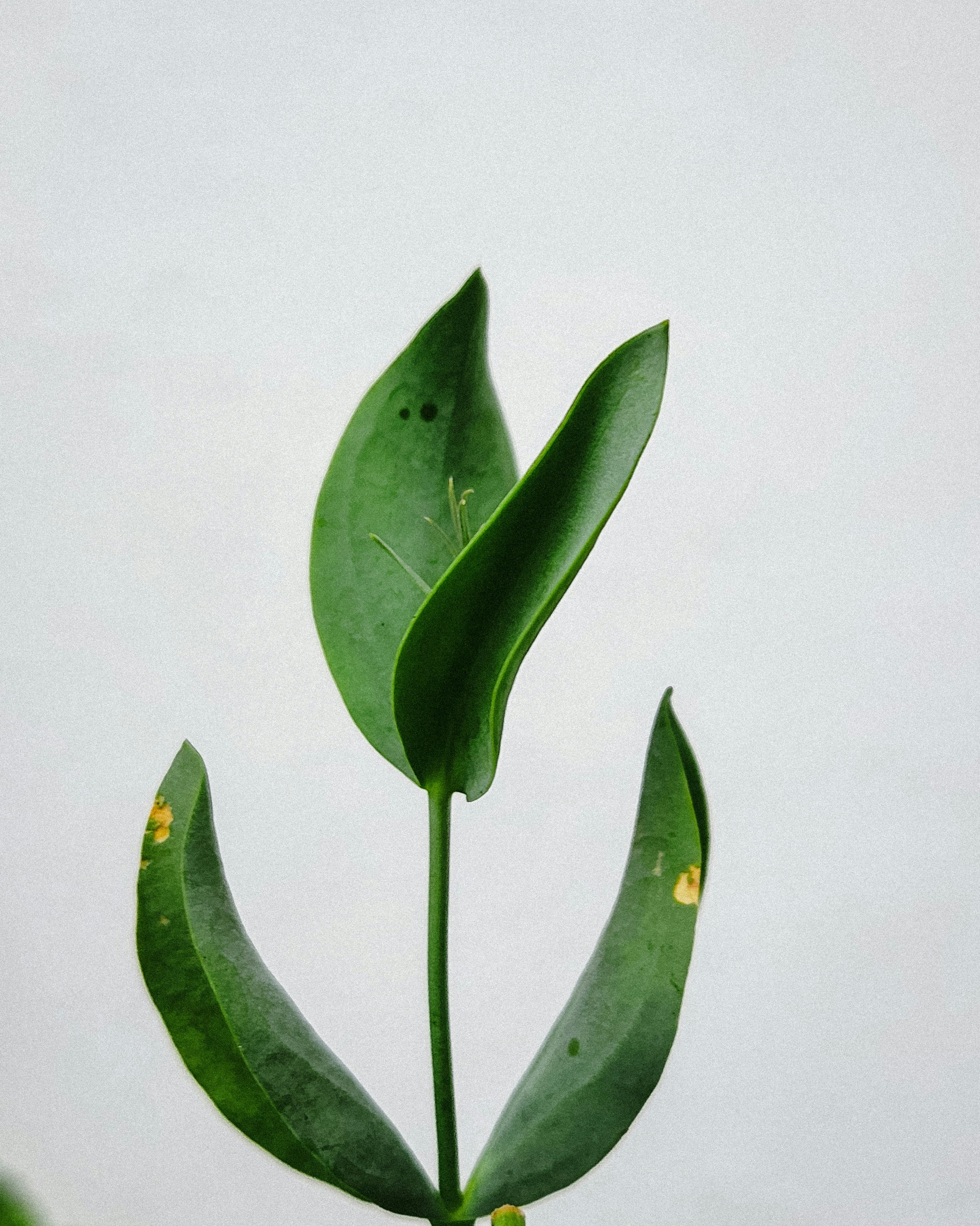 Photo by justcapturingit