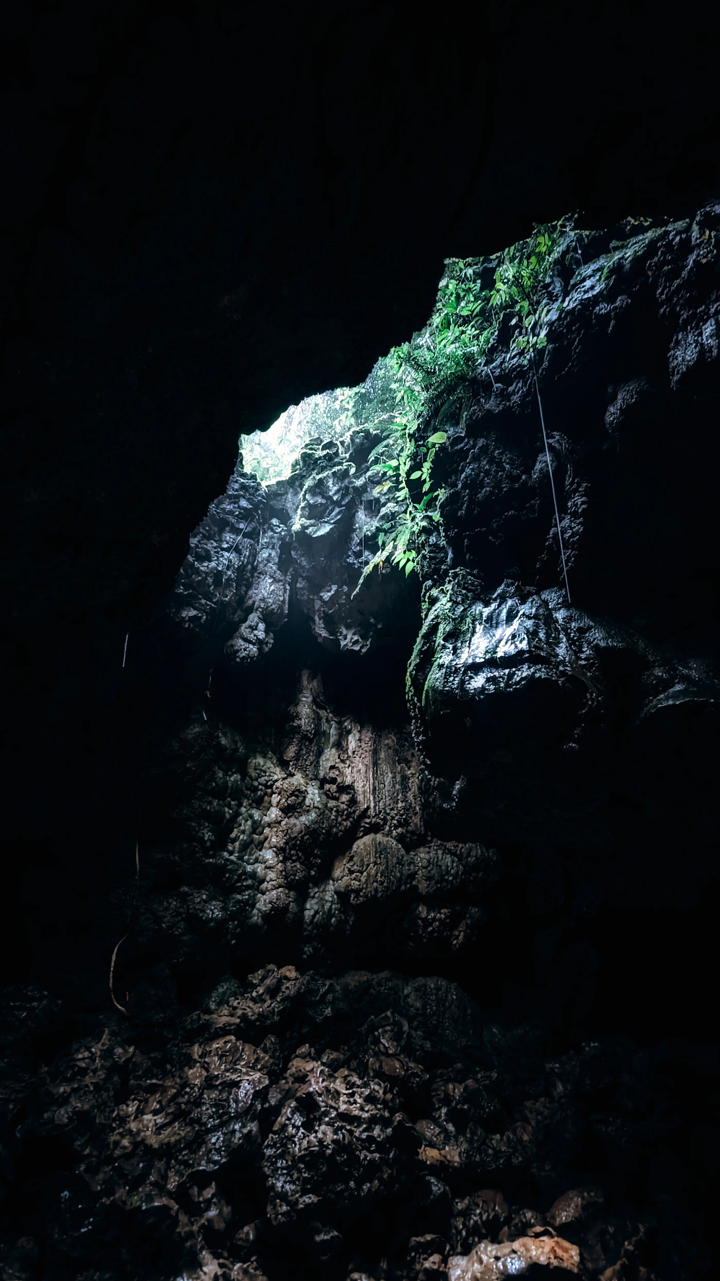 Cave Excursion