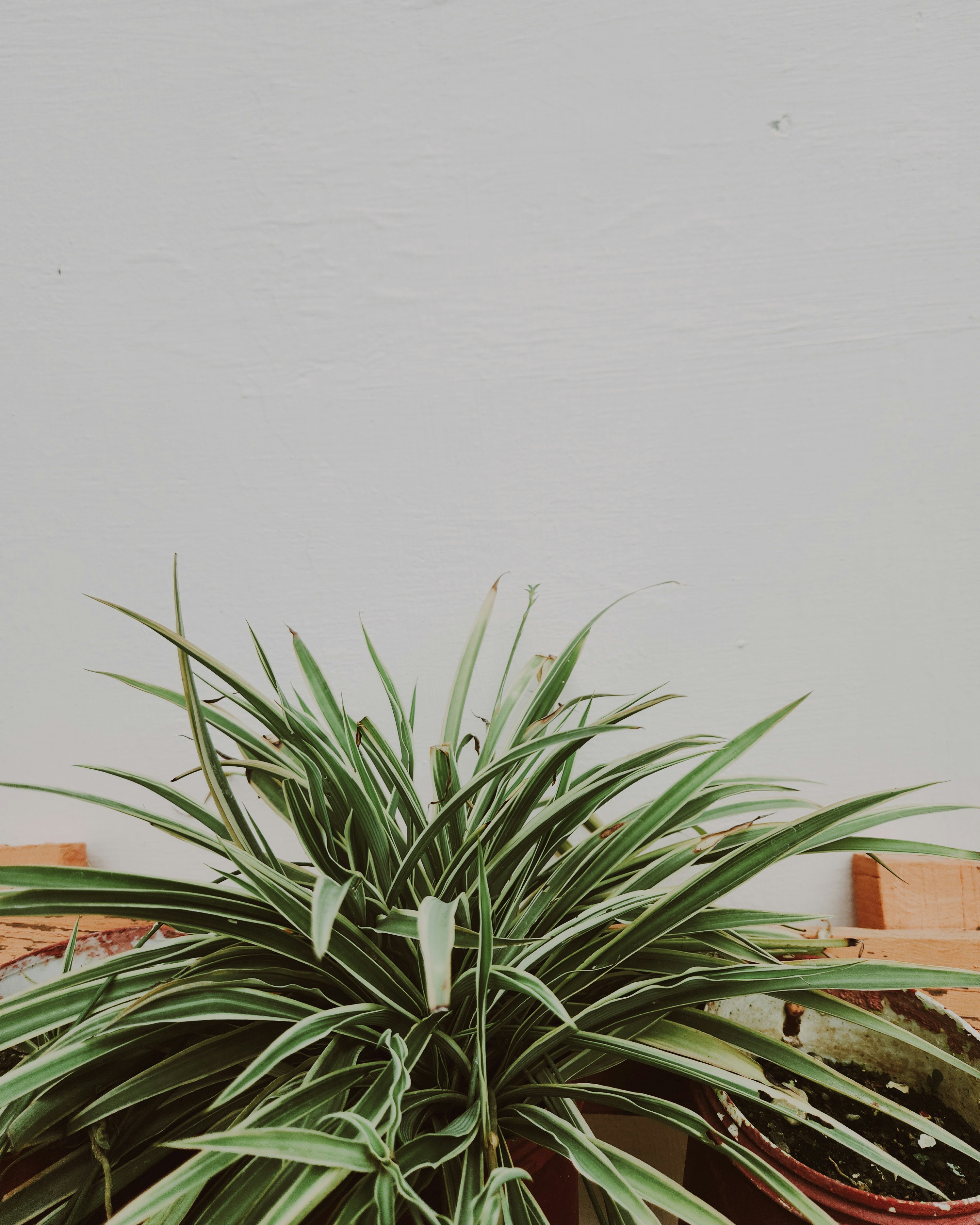 Photo by justcapturingit