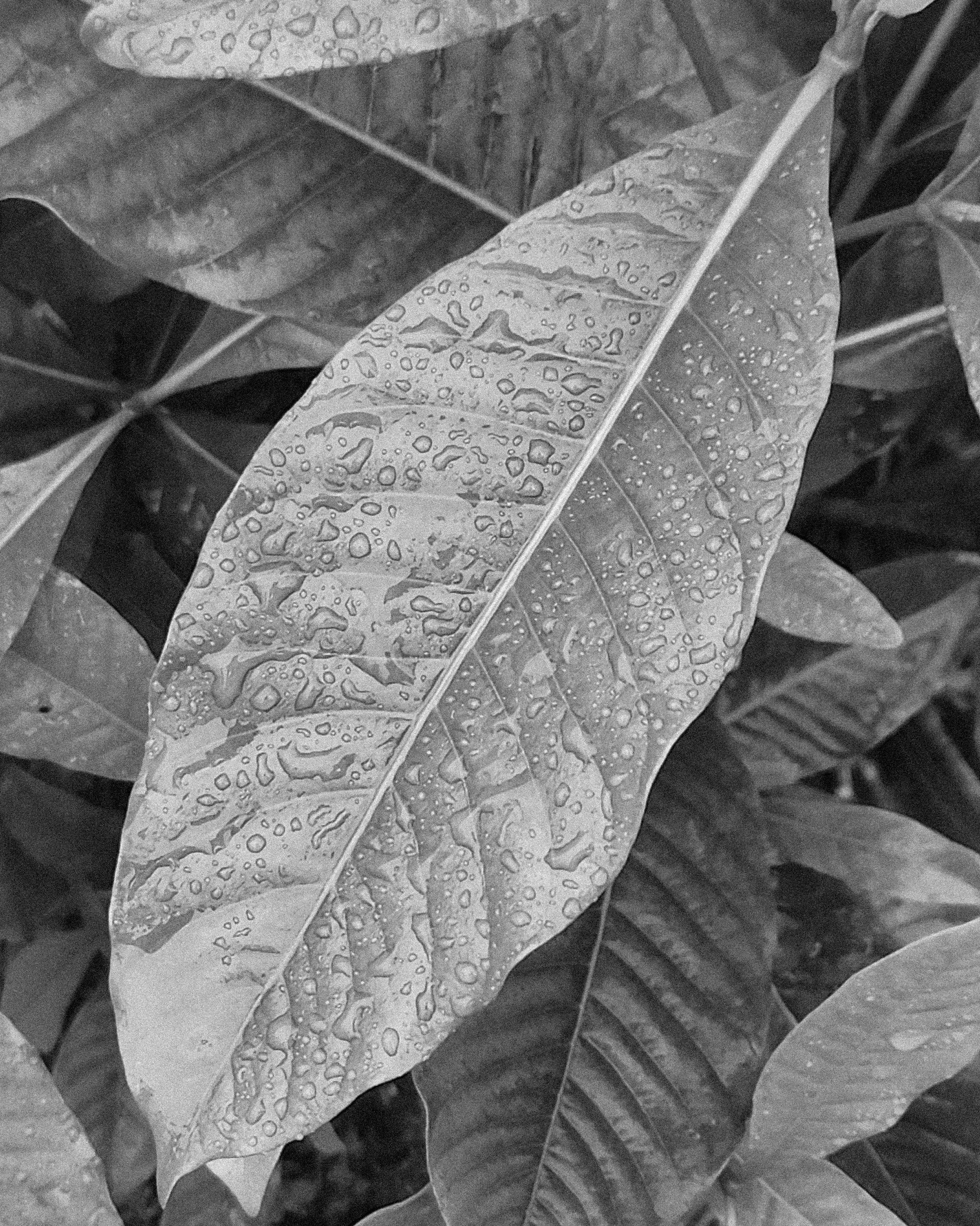 Photo by justcapturingit