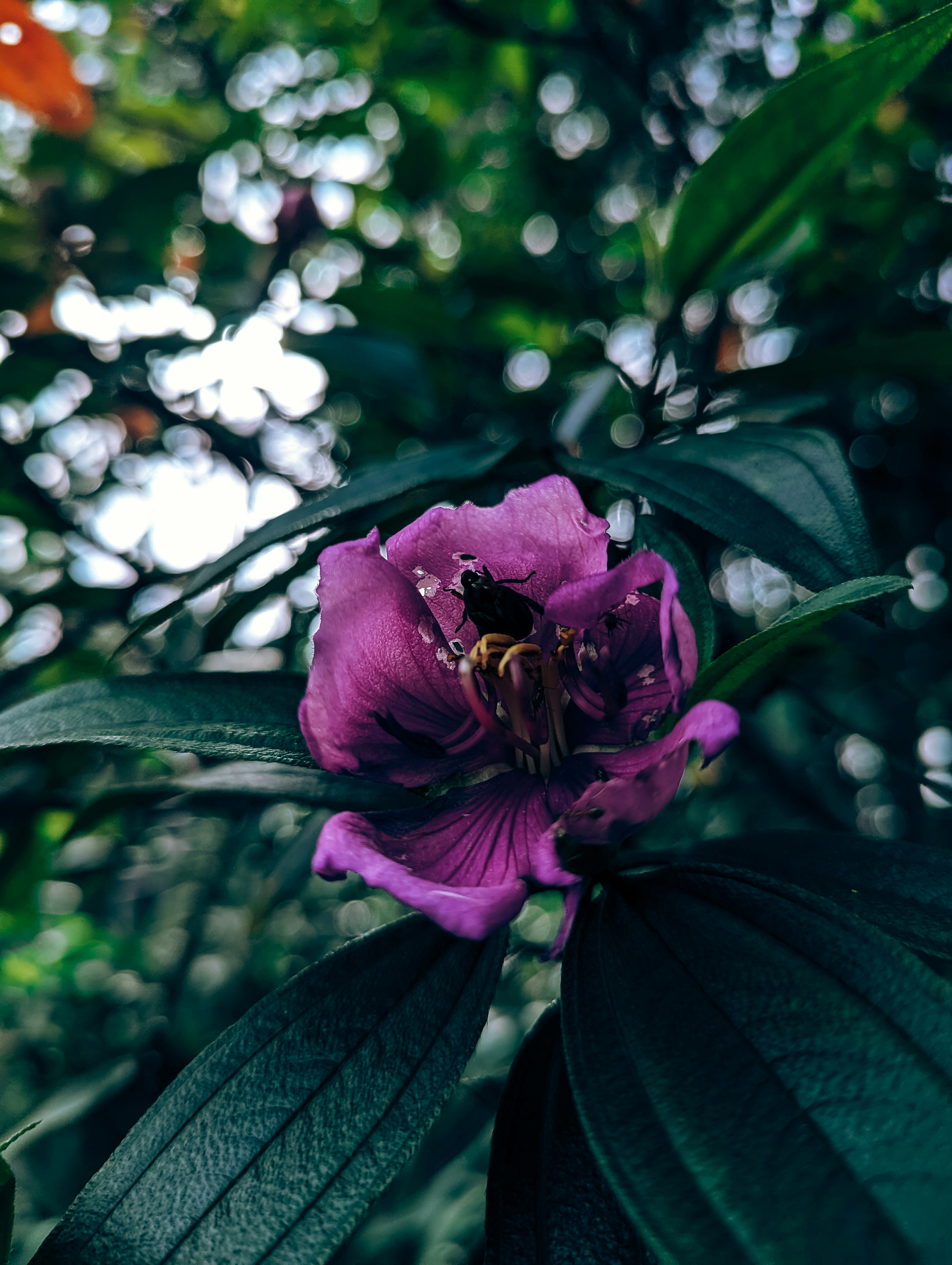 Photo by simanta_99
