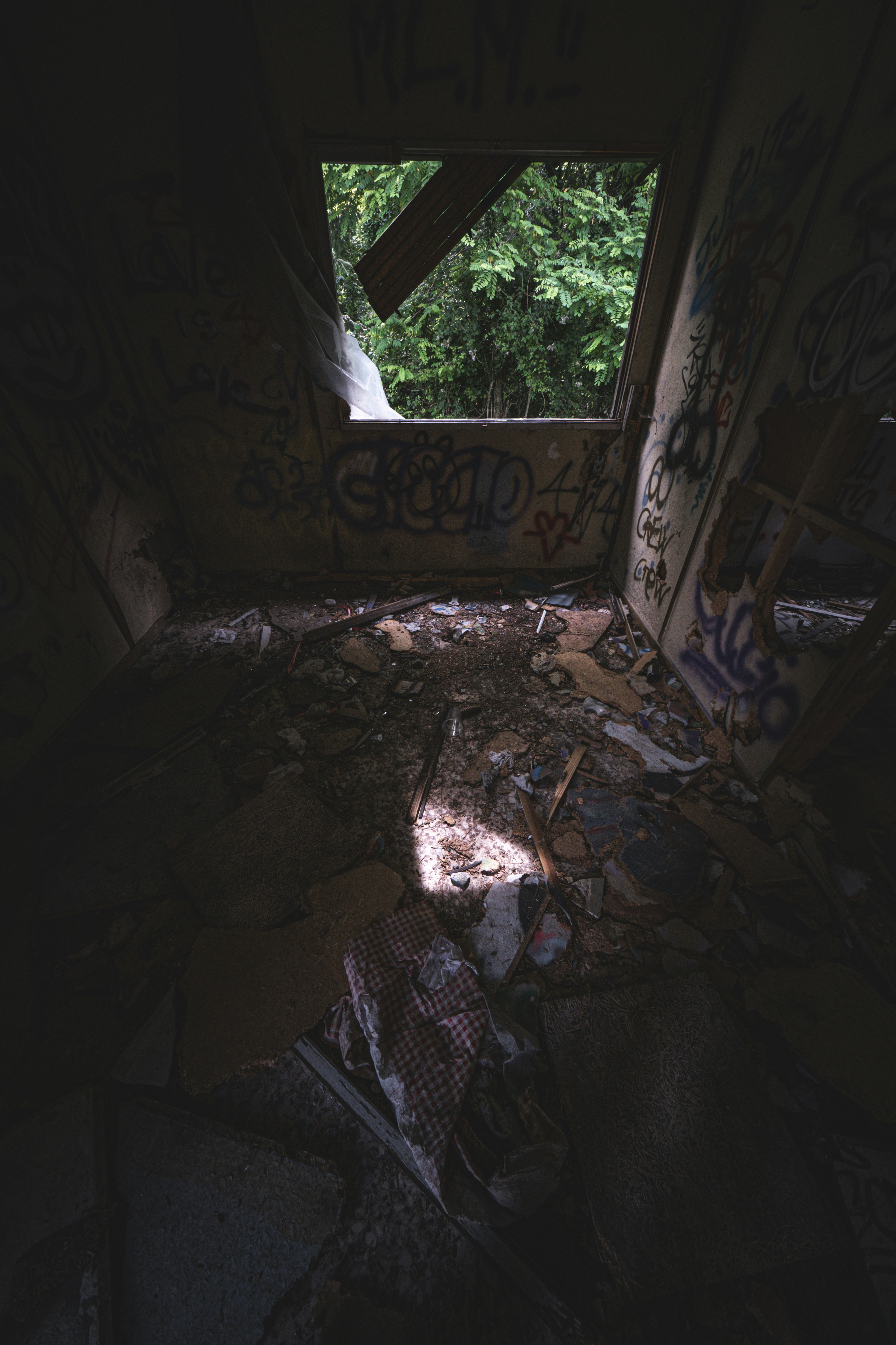 Photo by francesco_ungaro