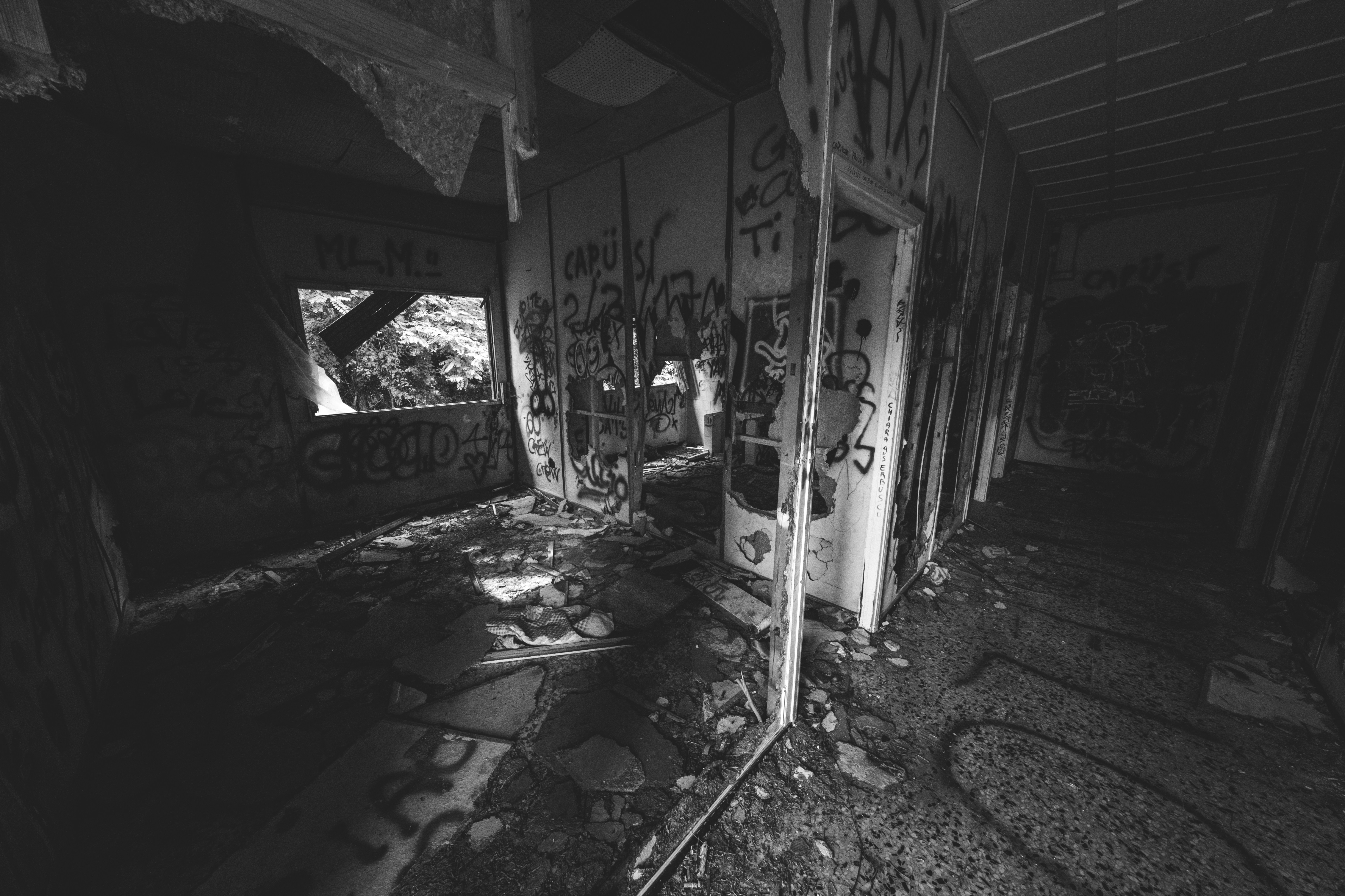 Photo by francesco_ungaro