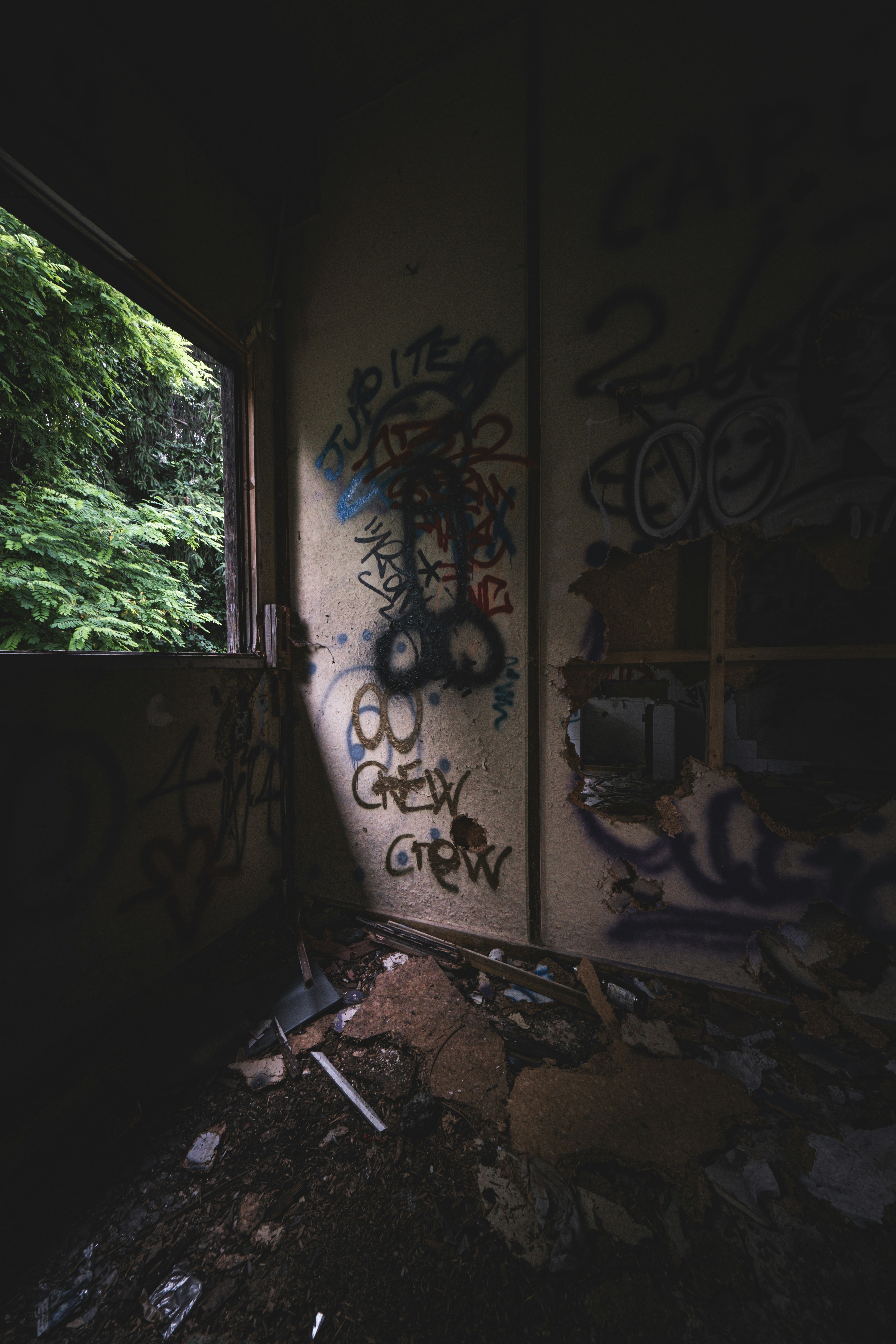 Photo by francesco_ungaro