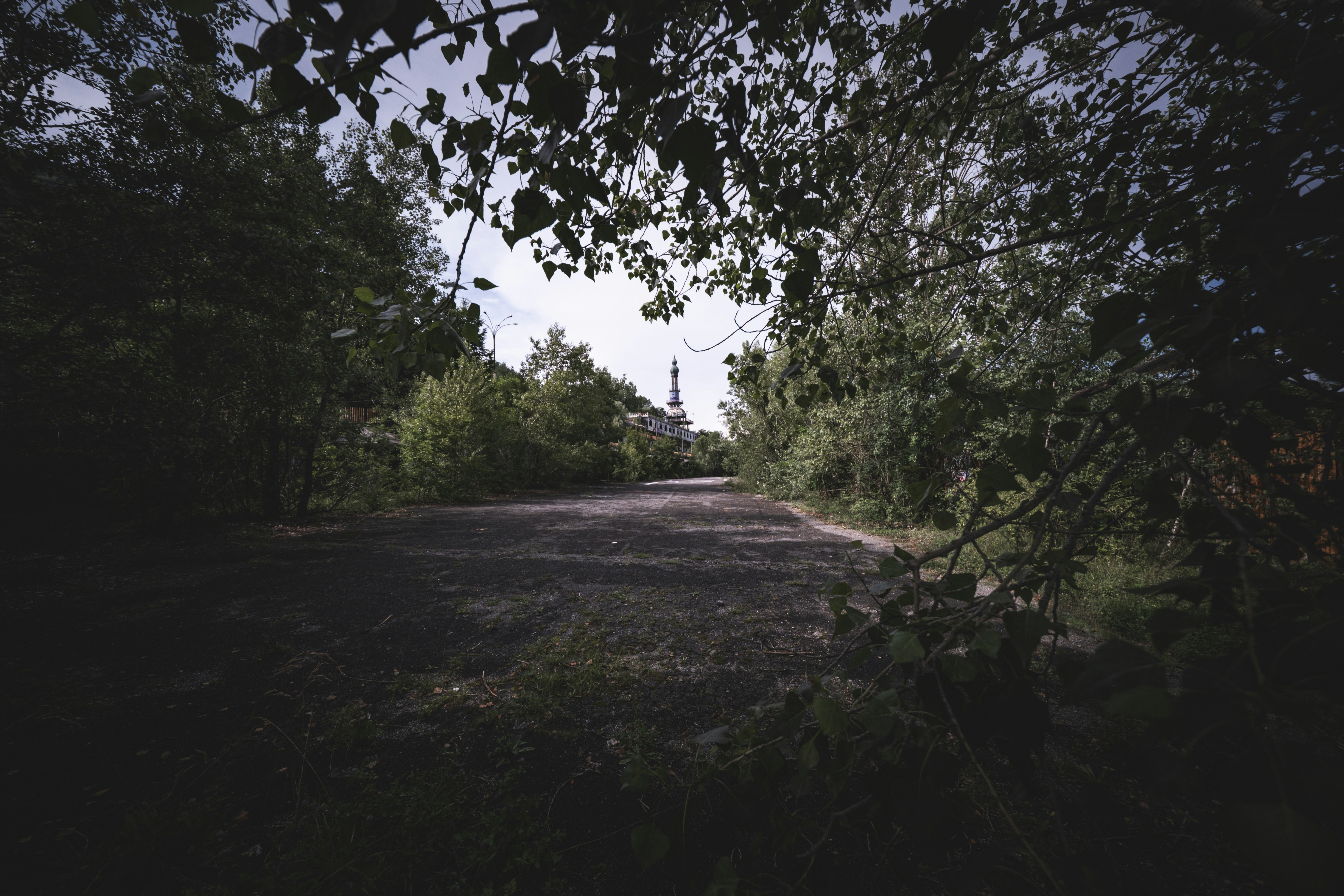 Photo by francesco_ungaro