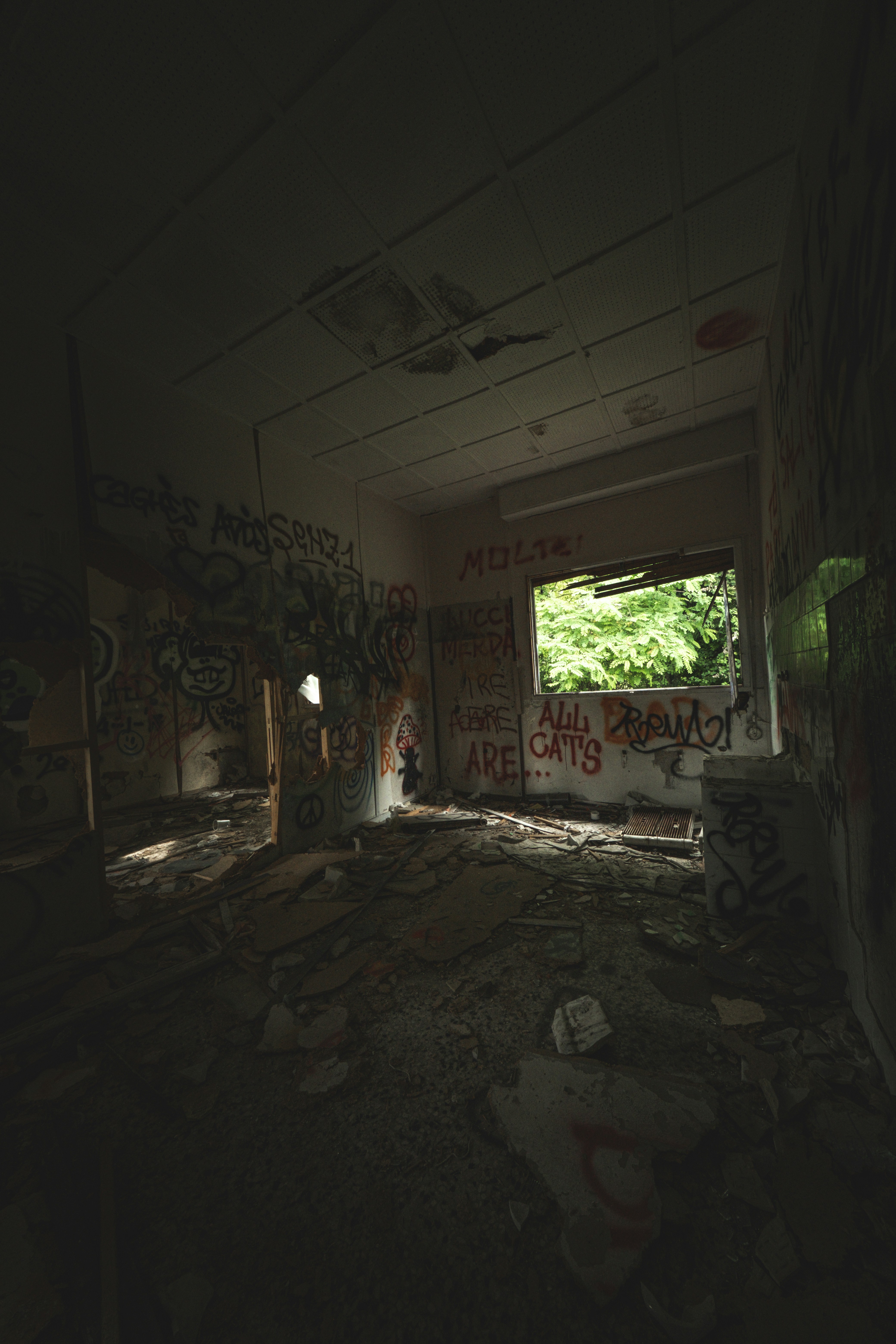 Photo by francesco_ungaro