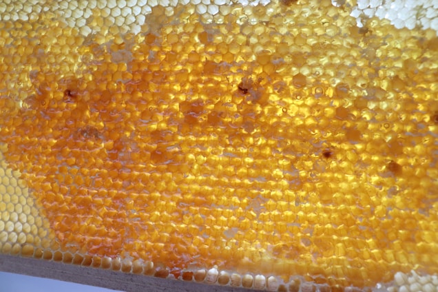 A close up of a honeycomb on a table