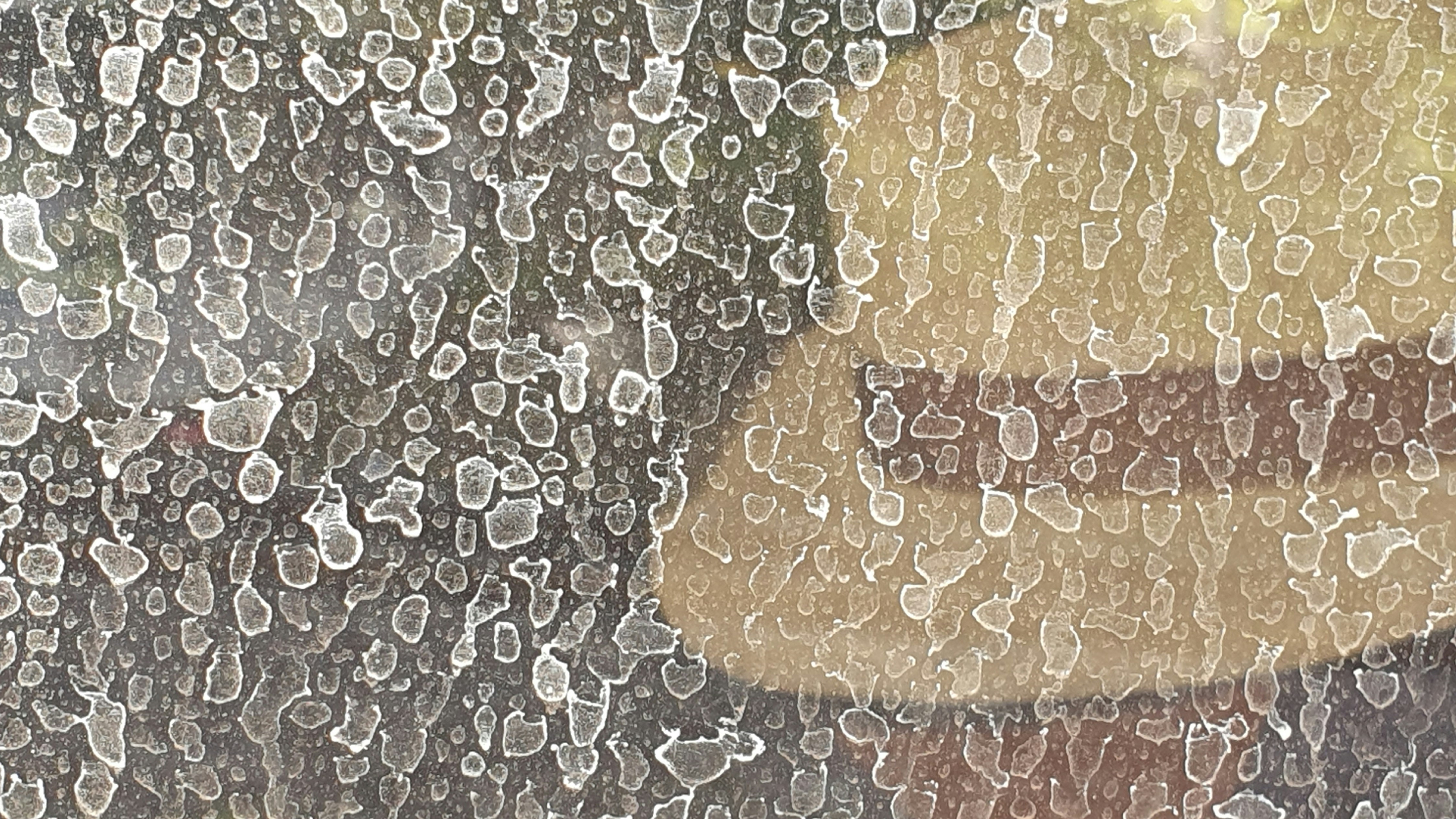 A blurry picture of a person holding an umbrella