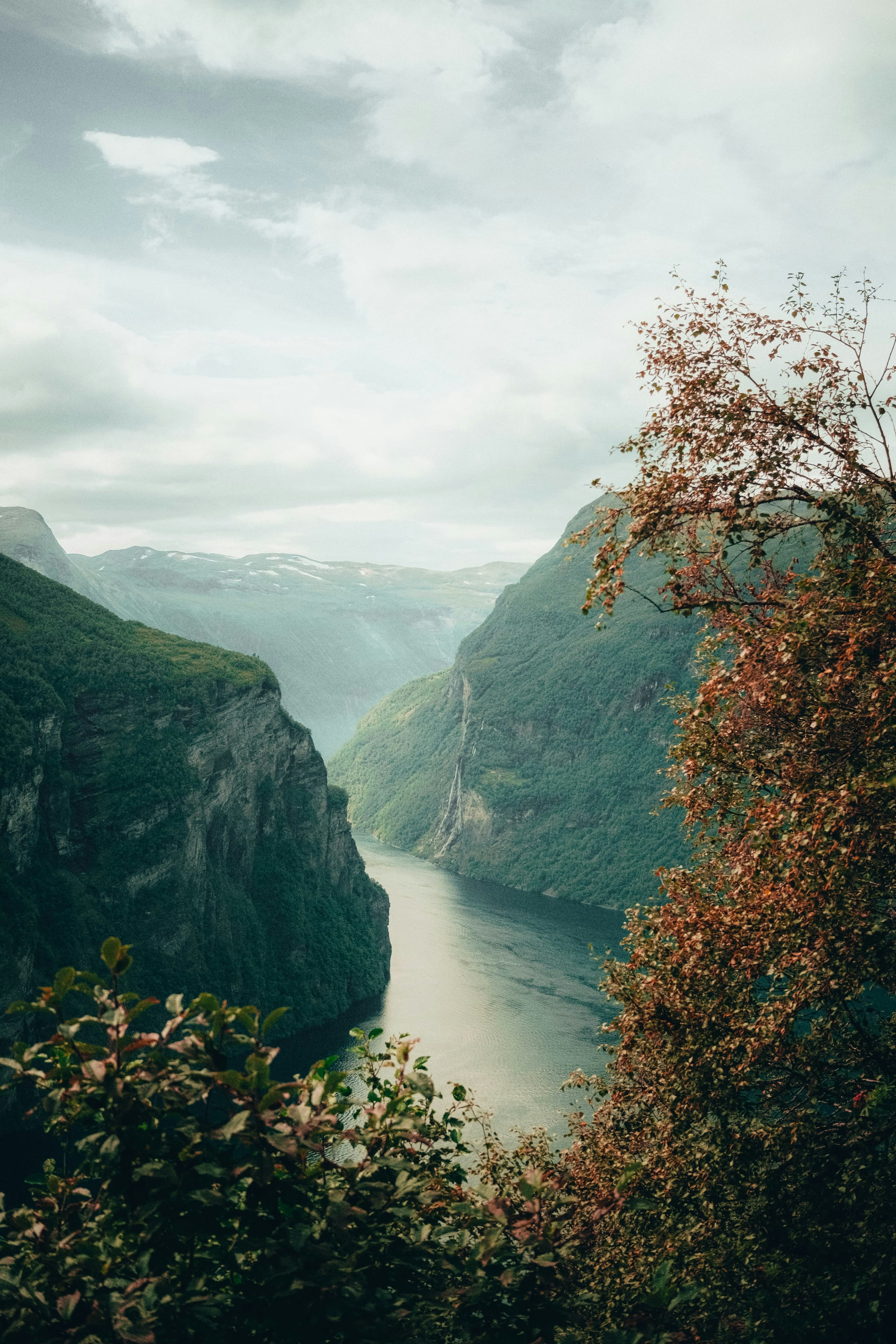 A river flowing through a lush green valley