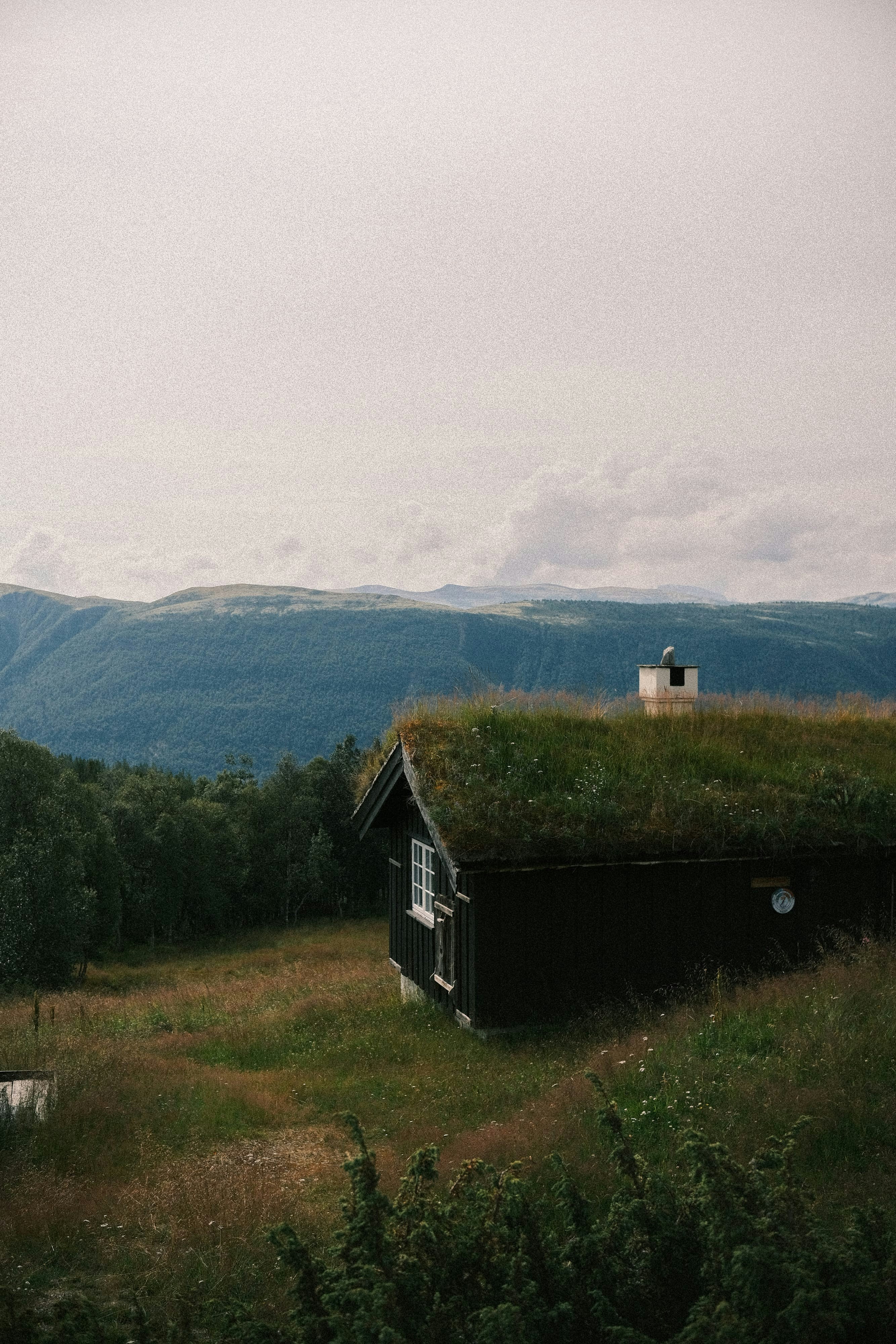 Photo by niklasjesper