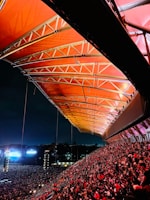 A large crowd of people at a concert