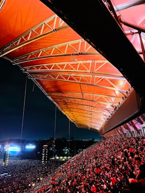 A large crowd of people at a concert