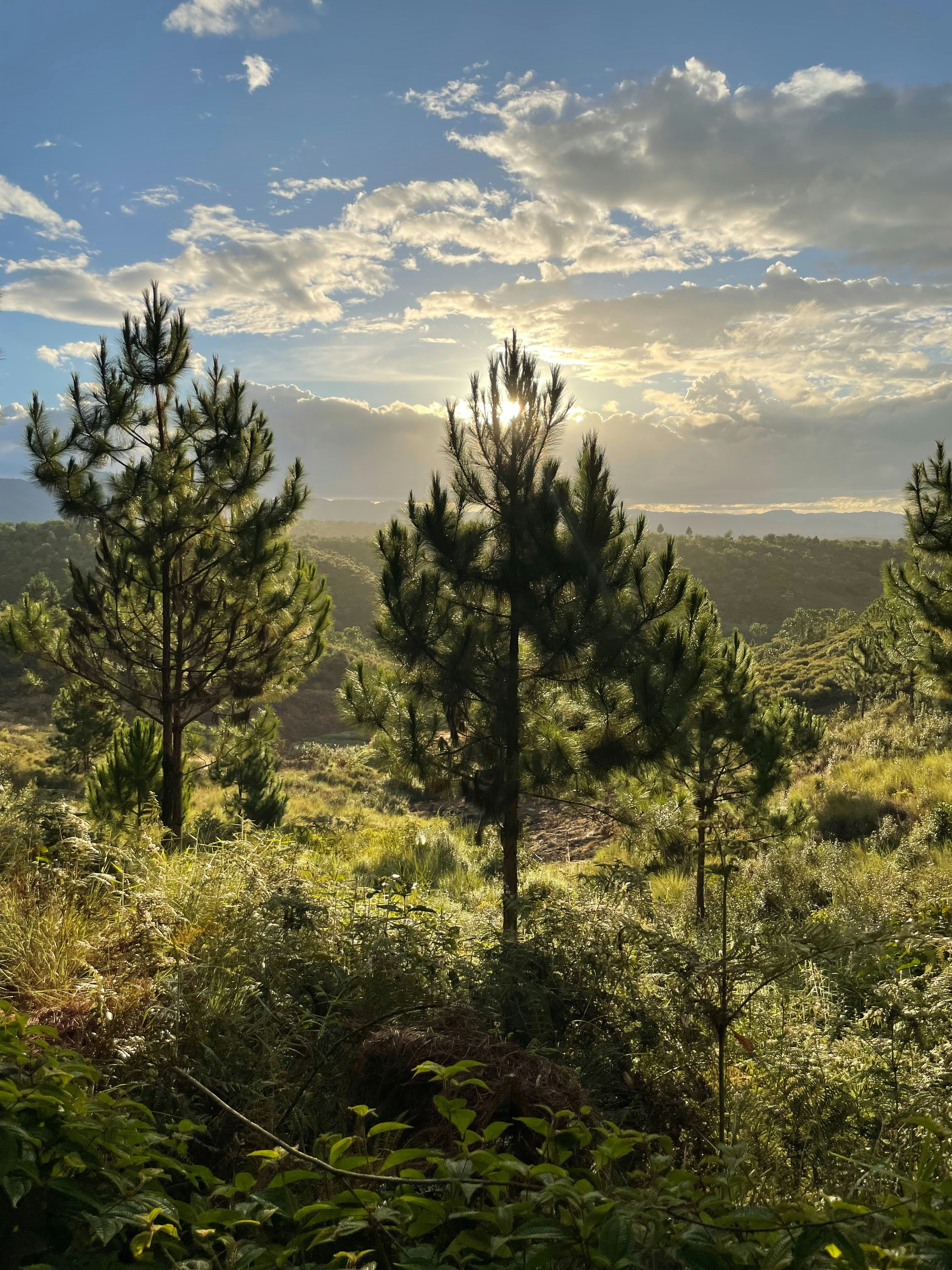 Photo by cheloadrian_